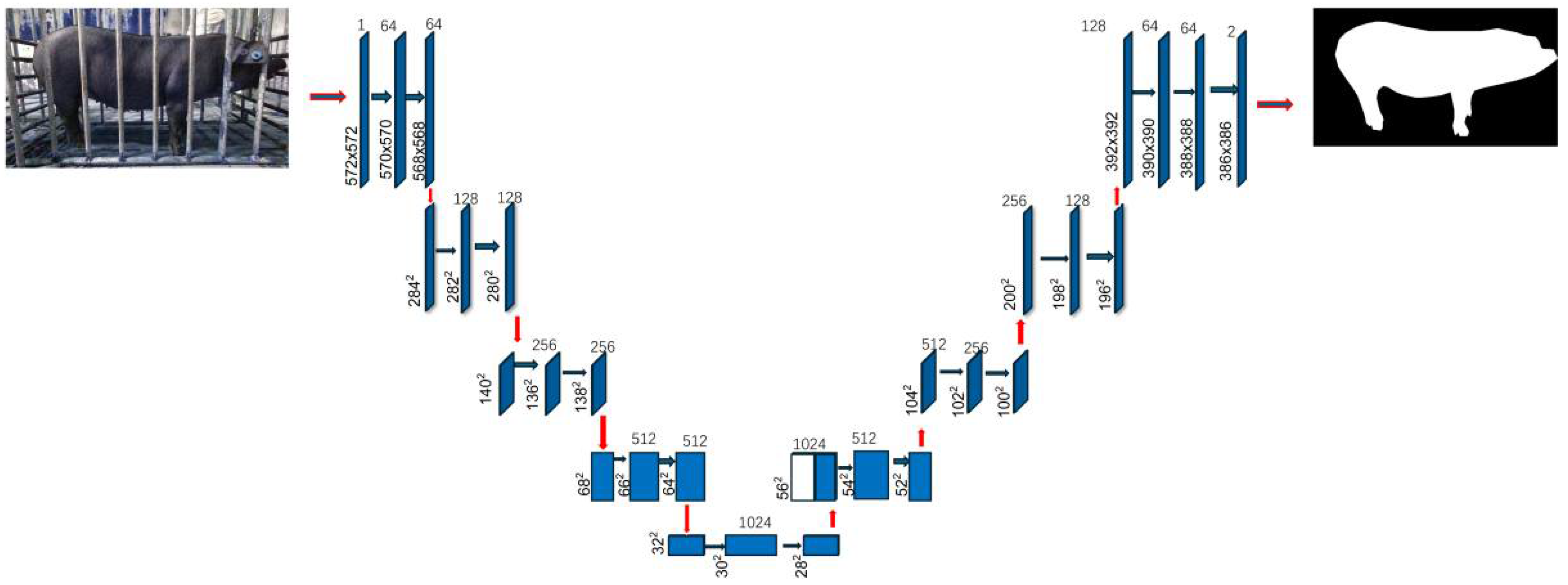 Animals 15 03601 g003 Animals 15 03601 g003