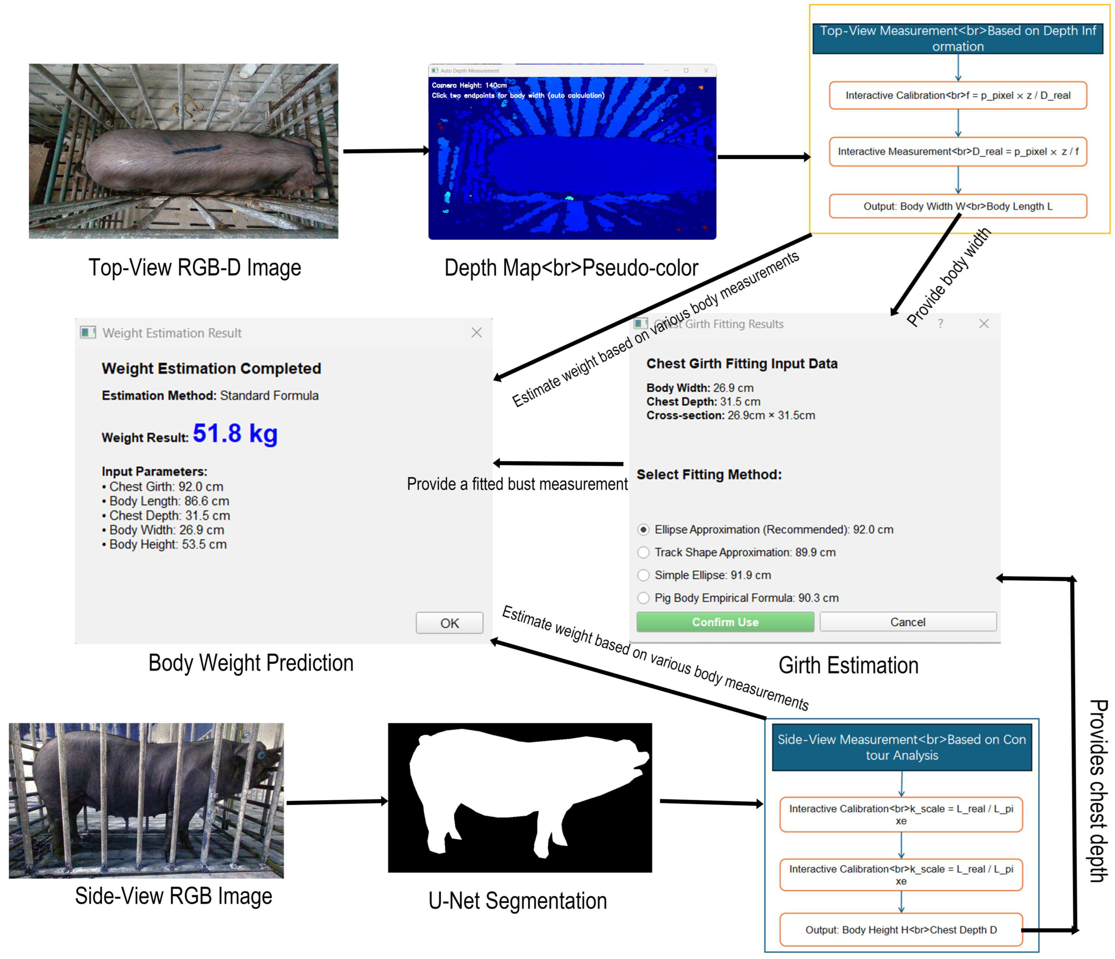 Animals 15 03601 g004 Animals 15 03601 g004
