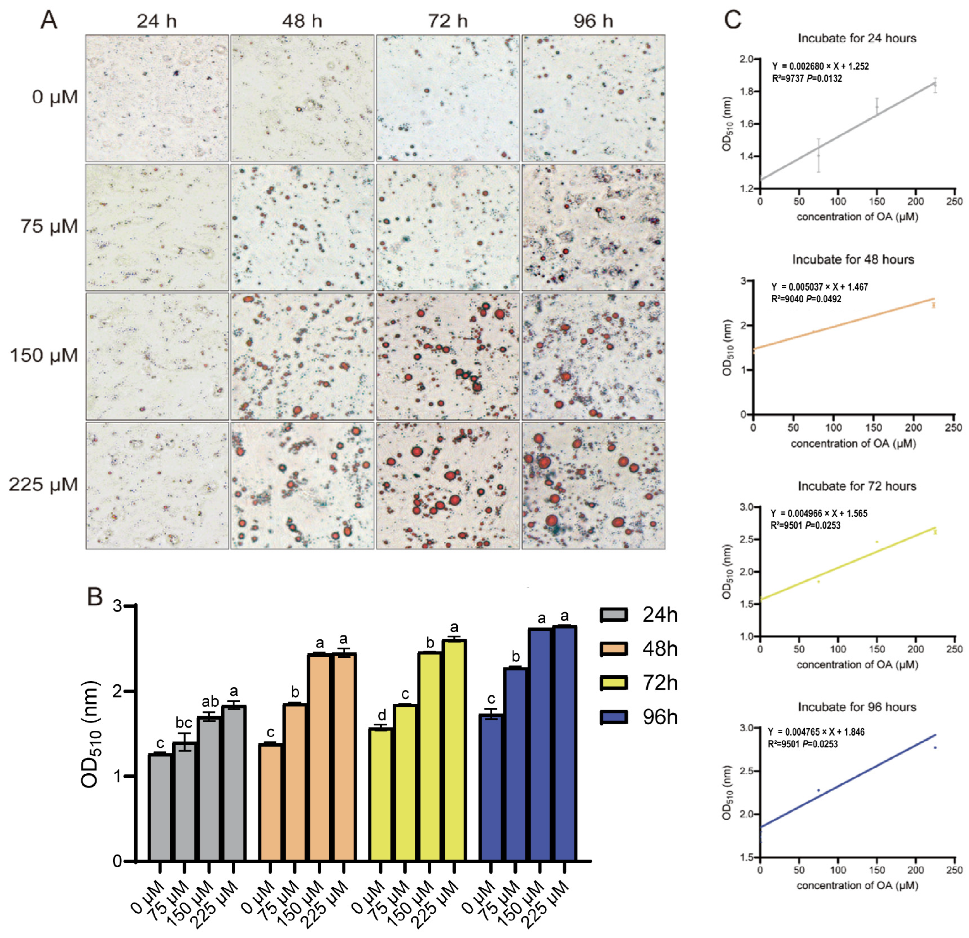 Animals 15 03603 g002 Animals 15 03603 g002