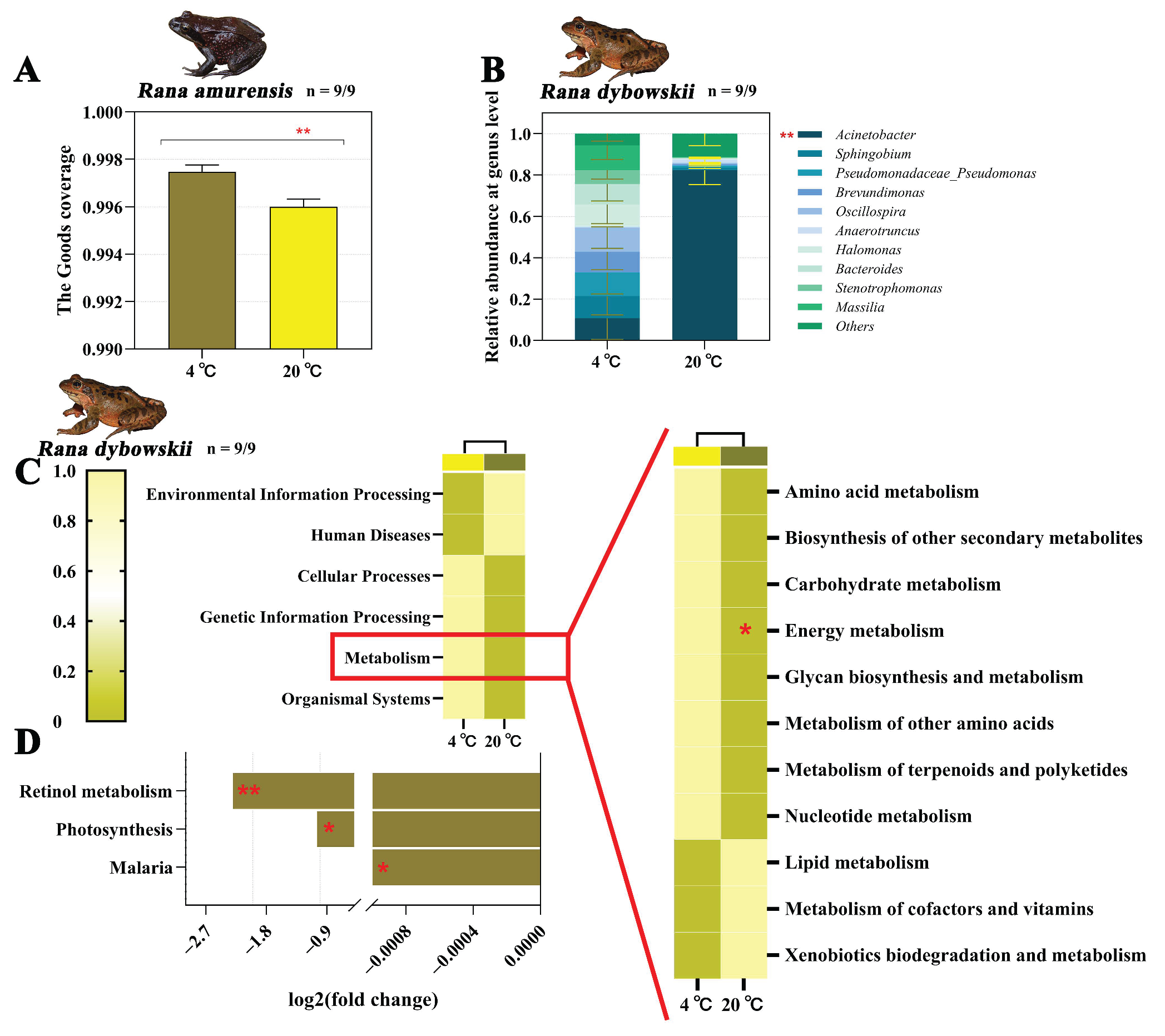 Animals 15 03604 g003 Animals 15 03604 g003
