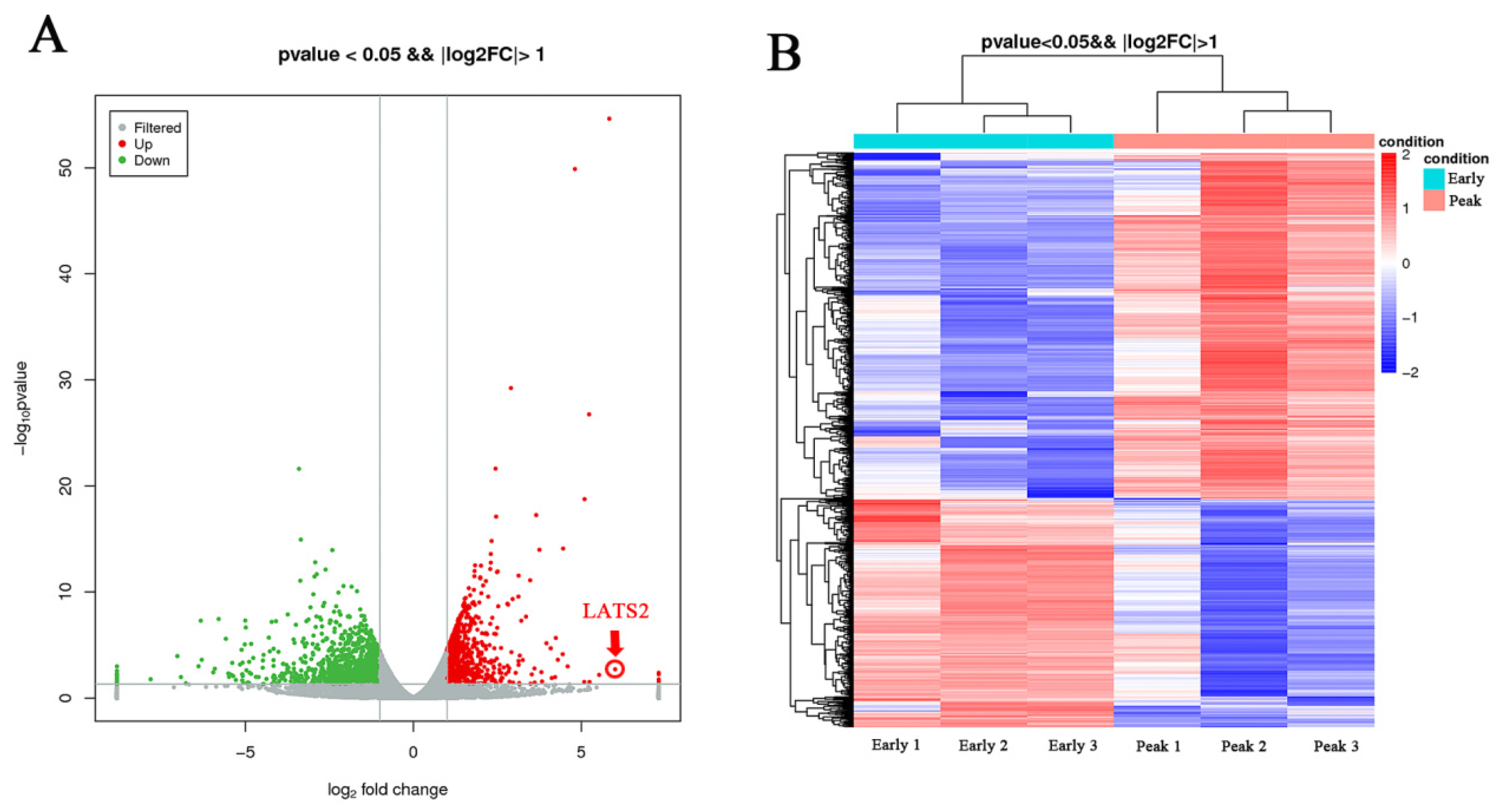 Animals 15 03606 g001 Animals 15 03606 g001