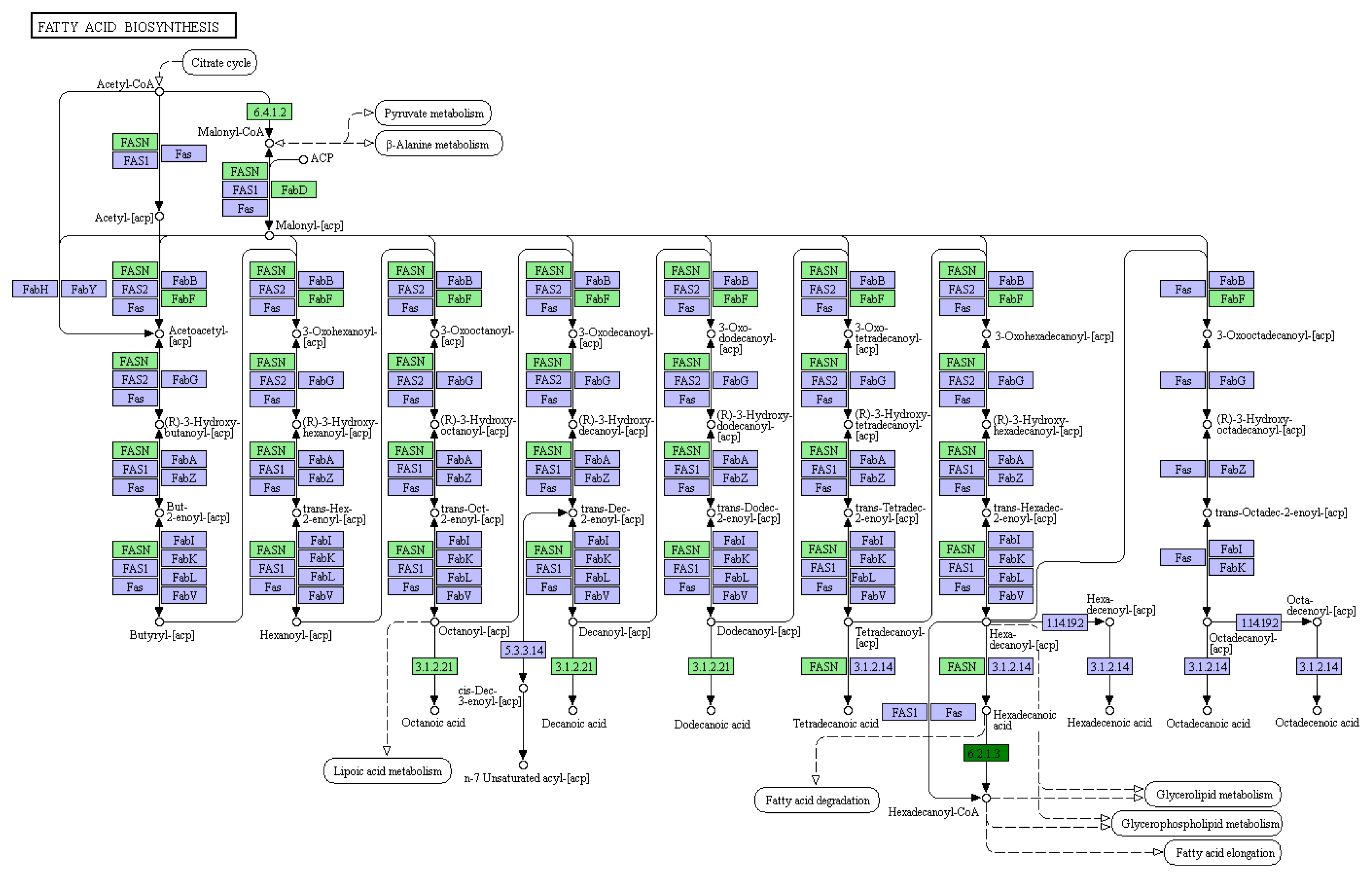 Animals 15 03606 g004 Animals 15 03606 g004