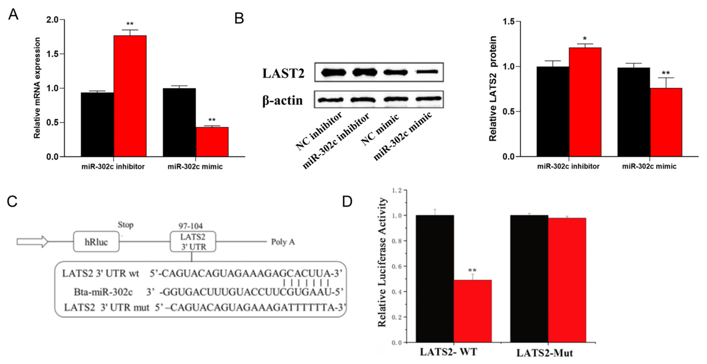 Animals 15 03606 g006 Animals 15 03606 g006