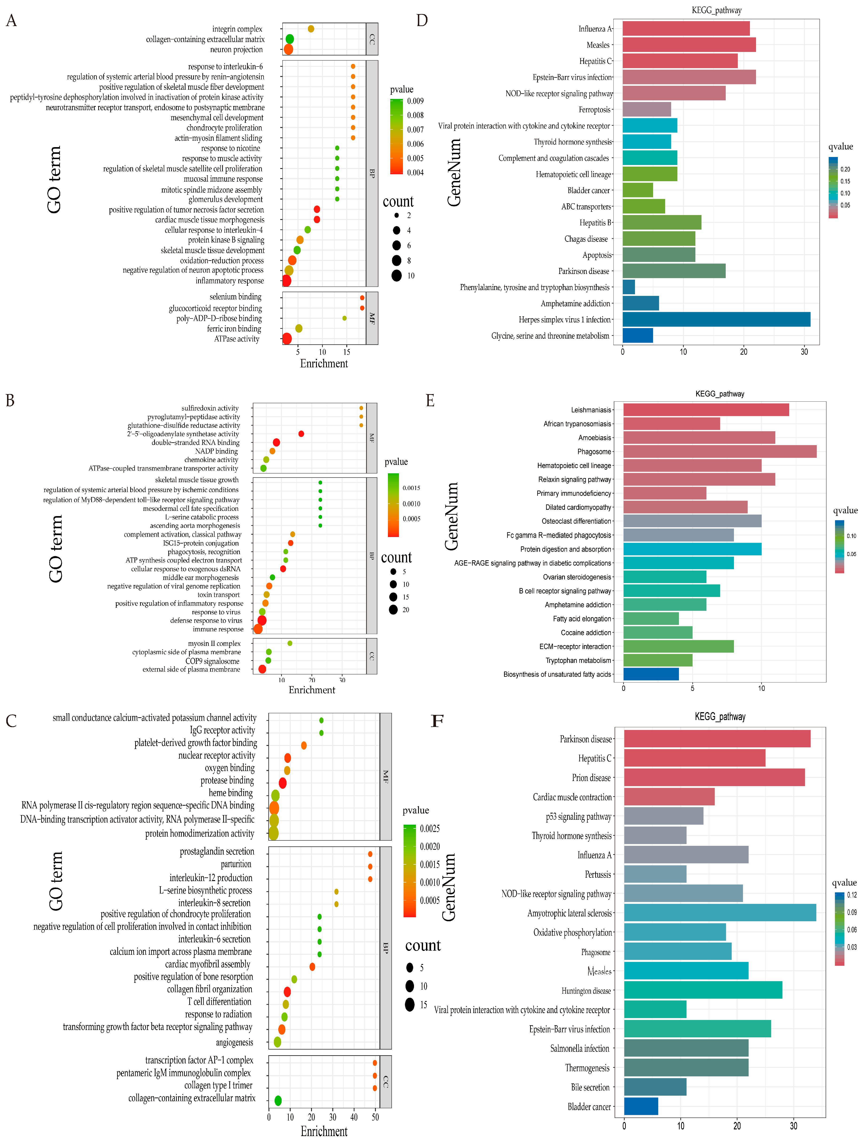 Animals 15 03612 g004 Animals 15 03612 g004