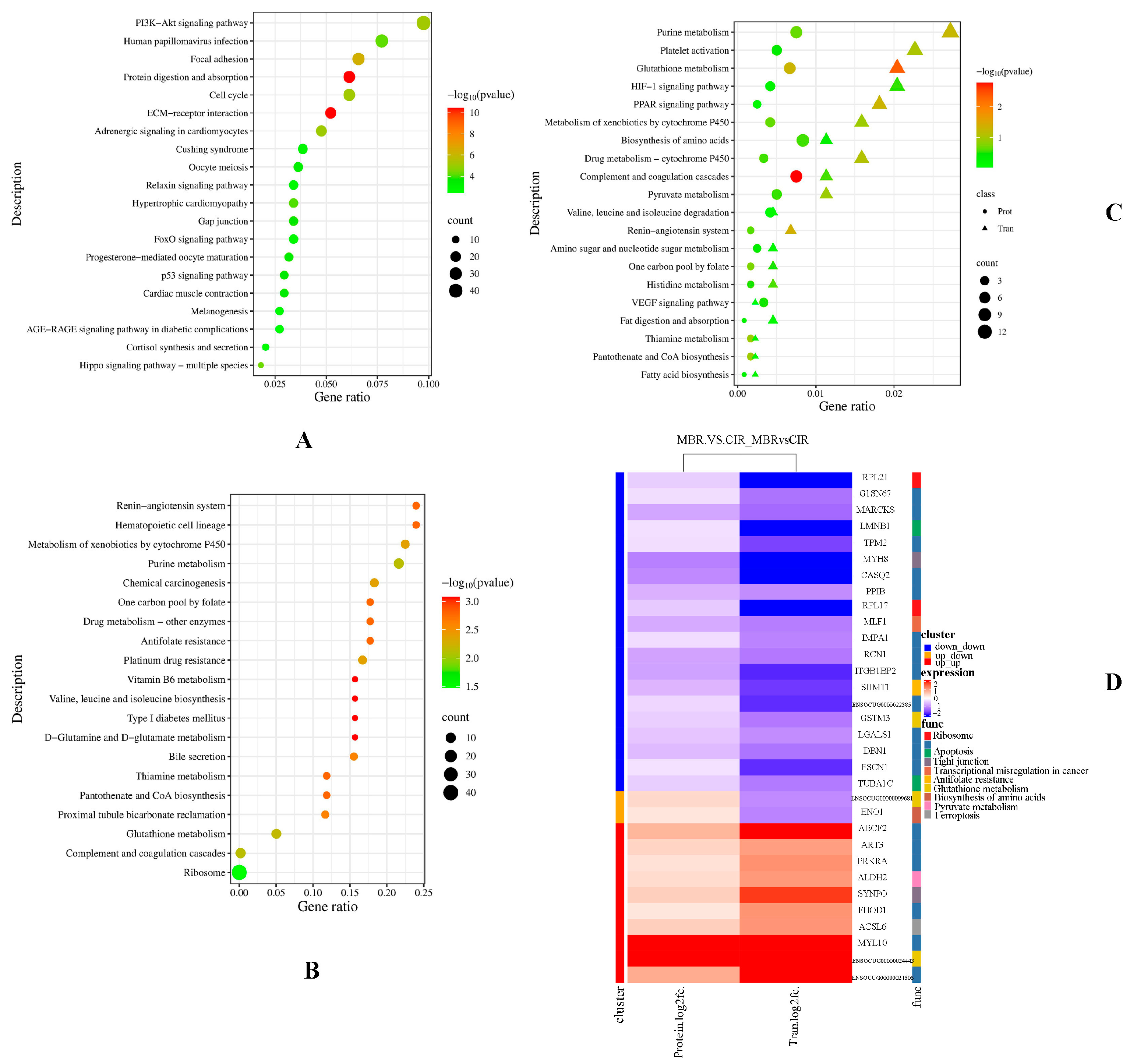 Animals 15 03616 g002 Animals 15 03616 g002