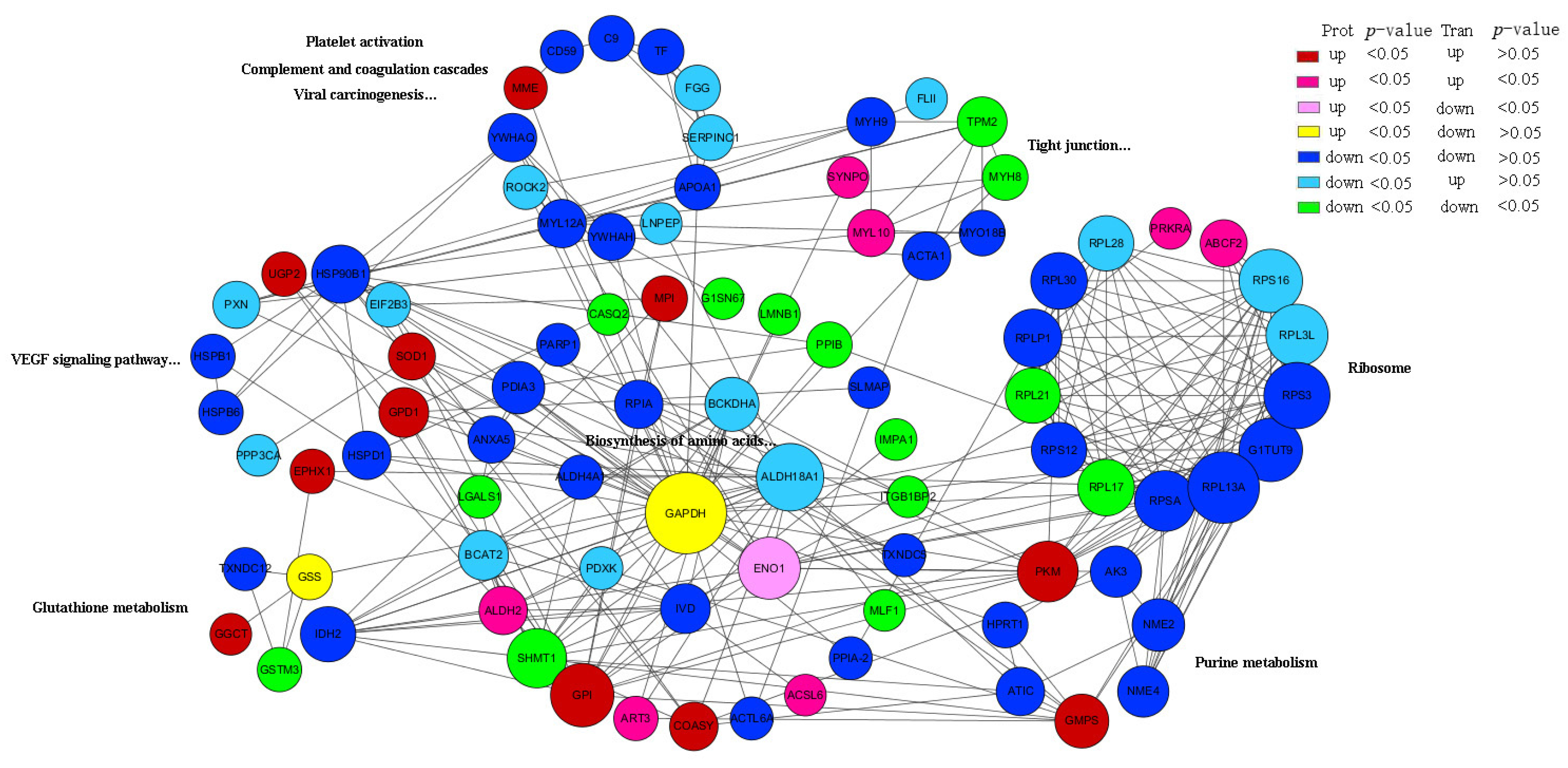 Animals 15 03616 g004 Animals 15 03616 g004