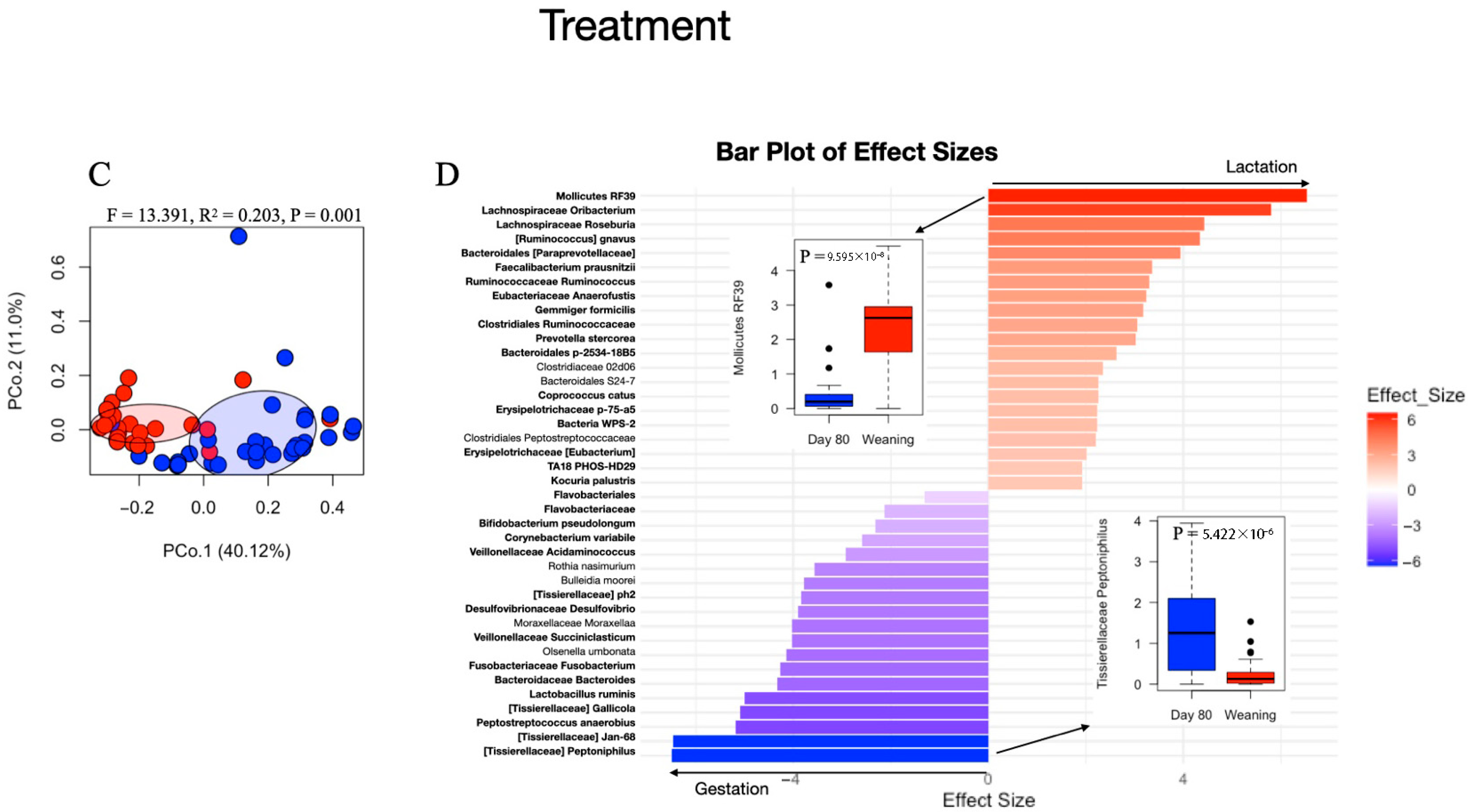 Animals 15 03618 g002b Animals 15 03618 g002b