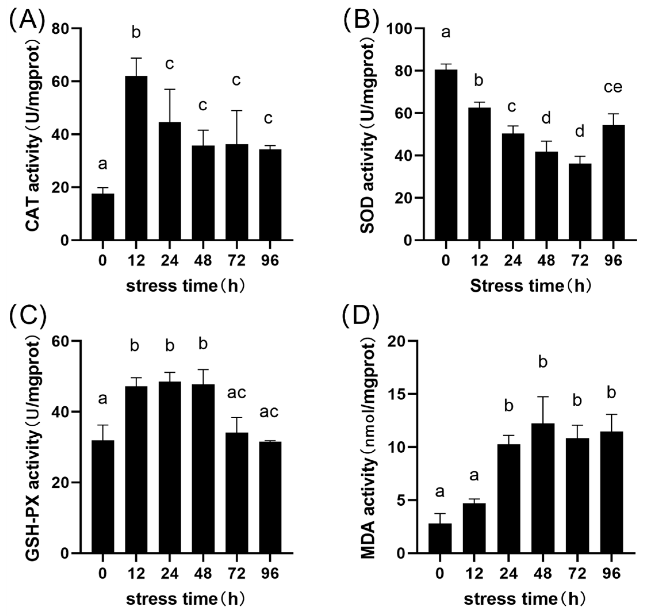 Animals 15 03621 g004