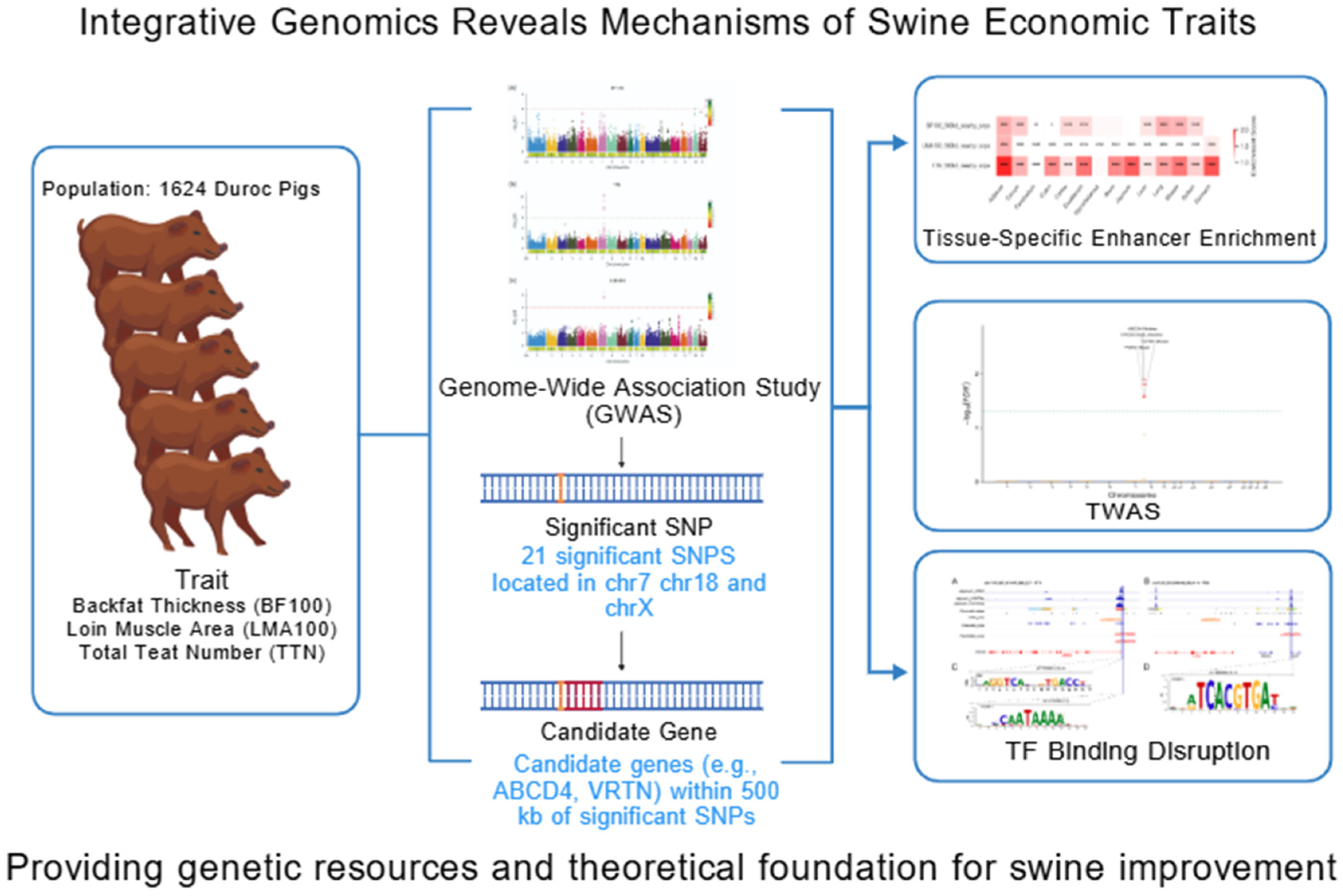 Animals 15 03627 g001 Animals 15 03627 g001