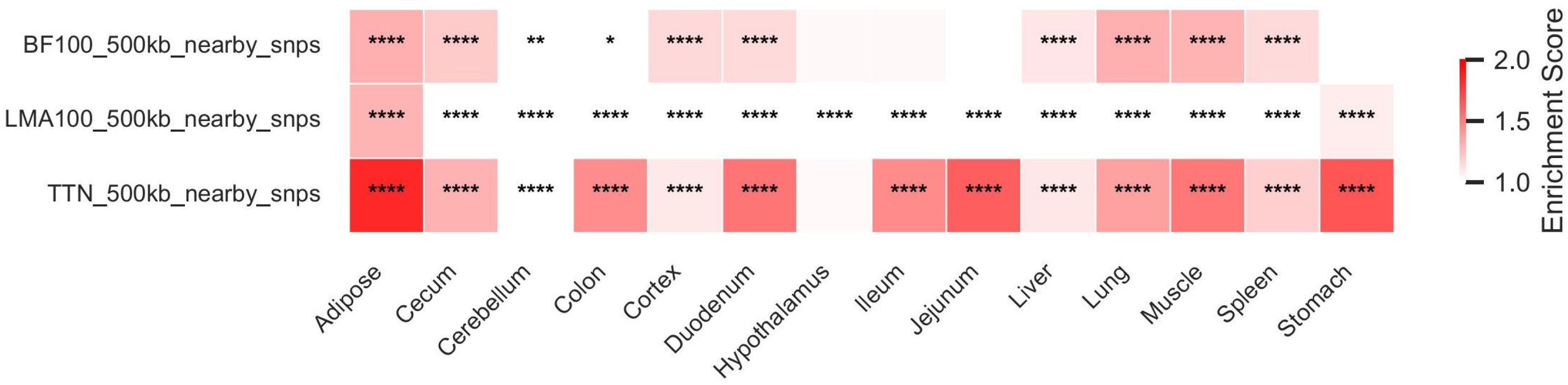 Animals 15 03627 g003 Animals 15 03627 g003