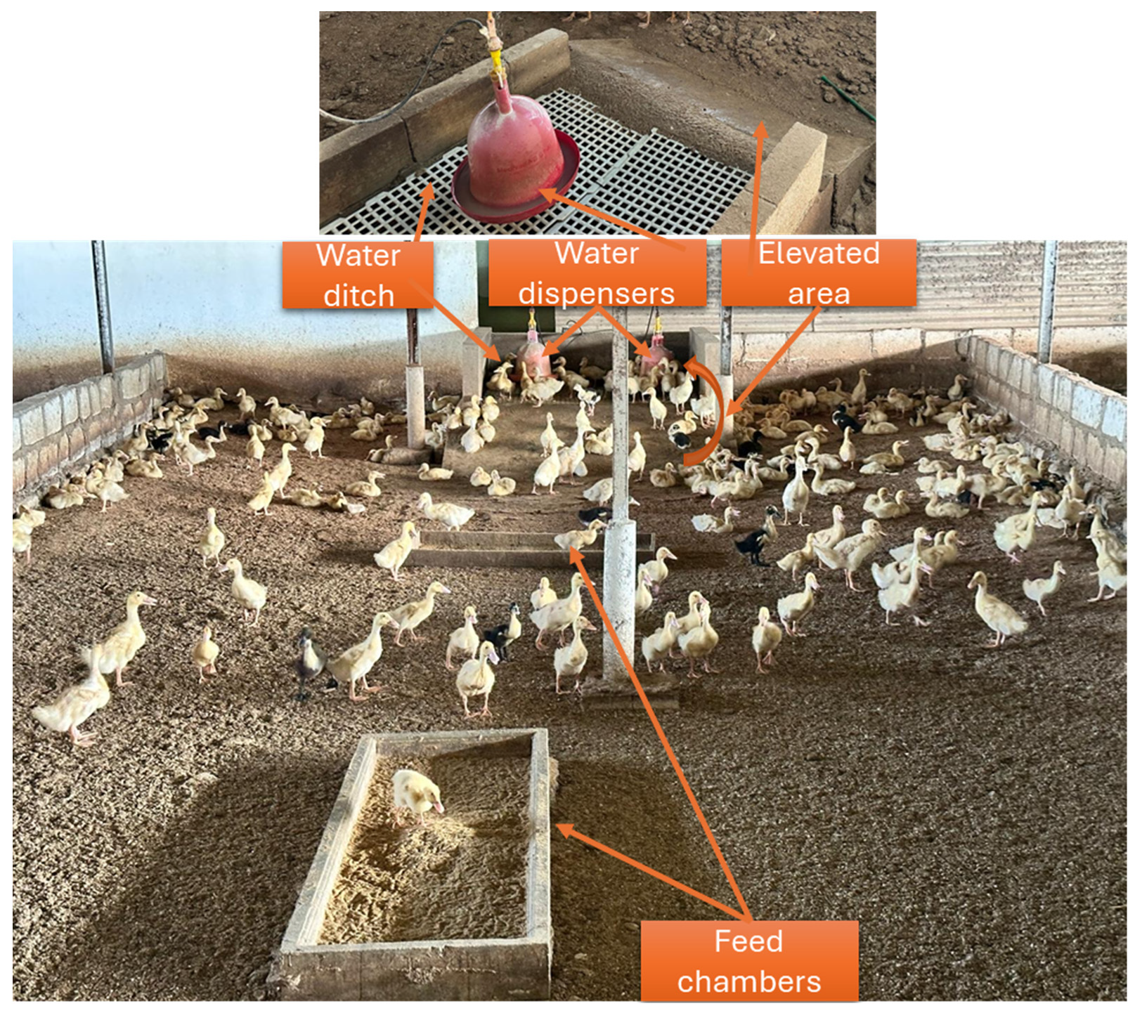 Animals 15 03632 g002 Animals 15 03632 g002