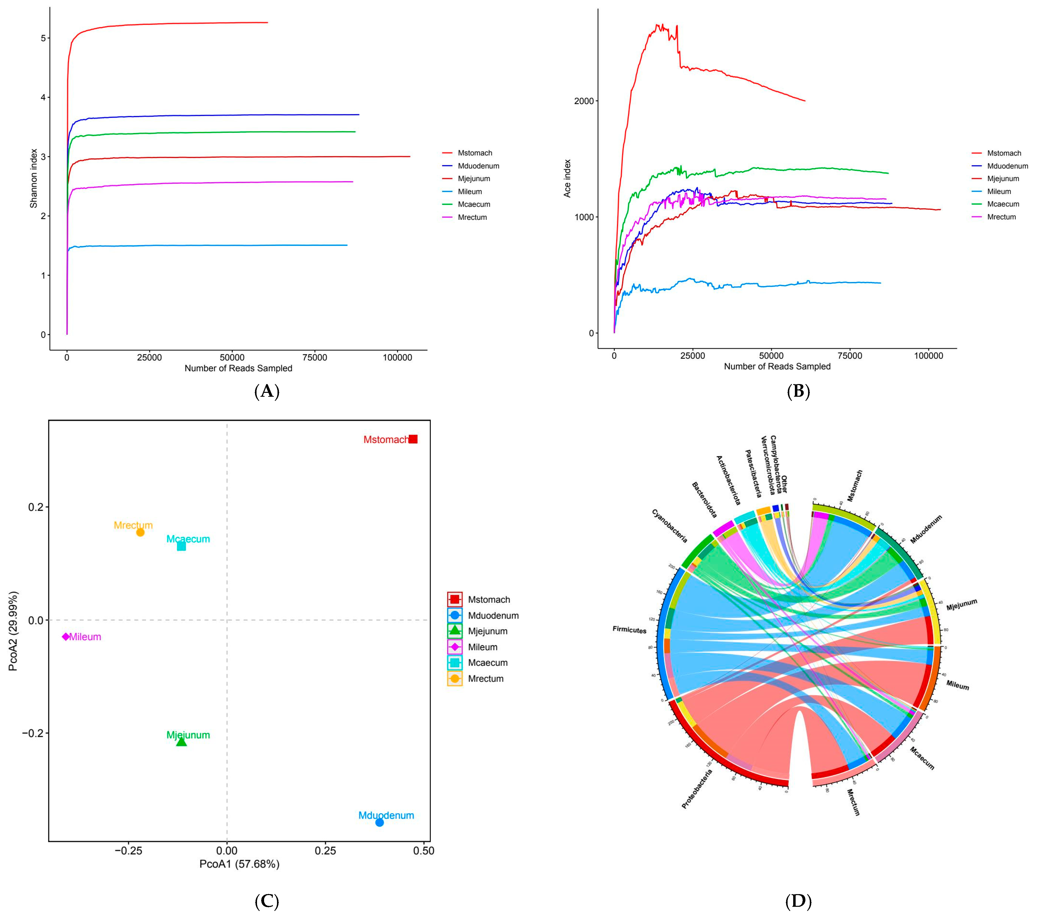 Animals 15 03651 g004a Animals 15 03651 g004a