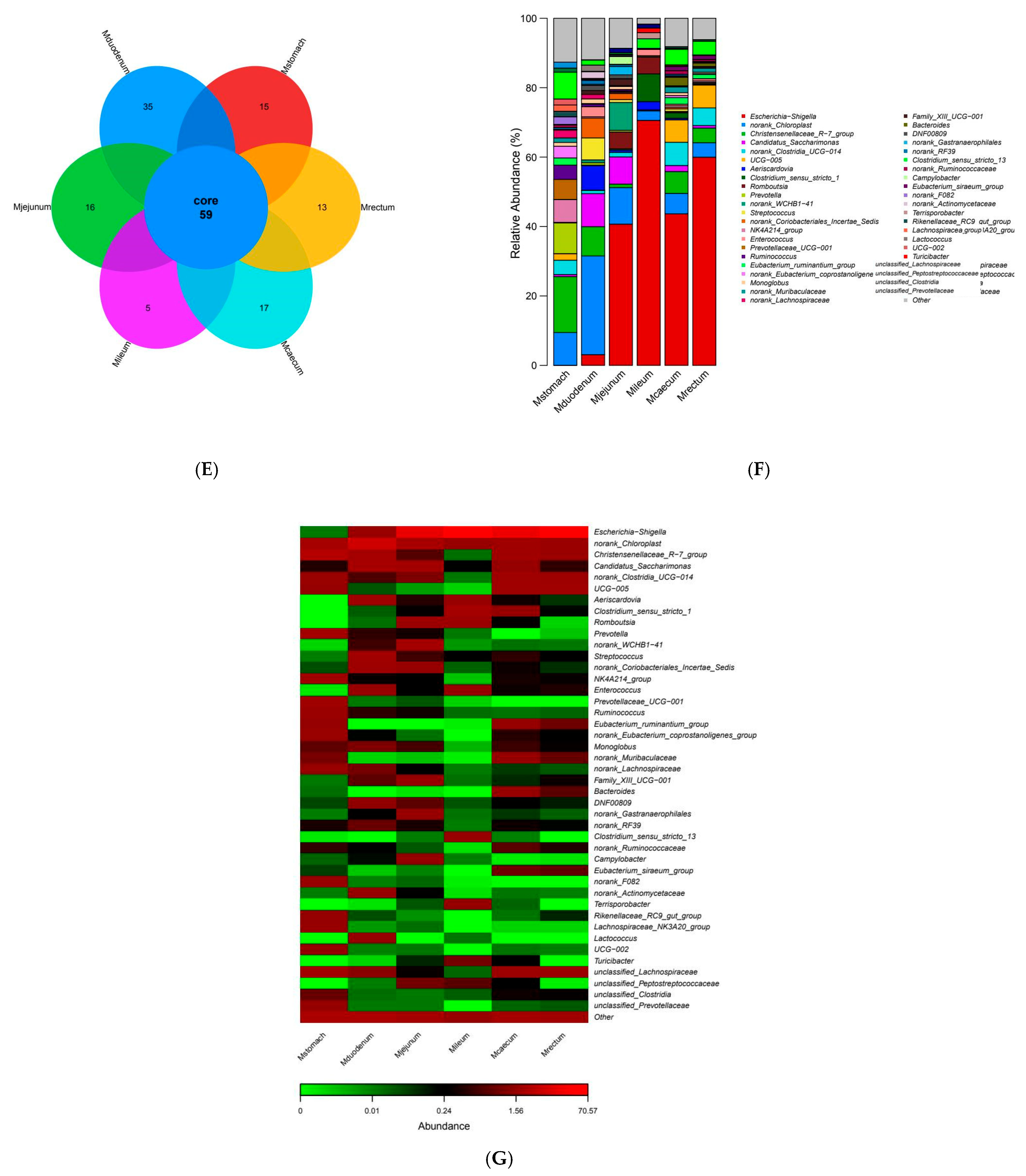 Animals 15 03651 g004b Animals 15 03651 g004b