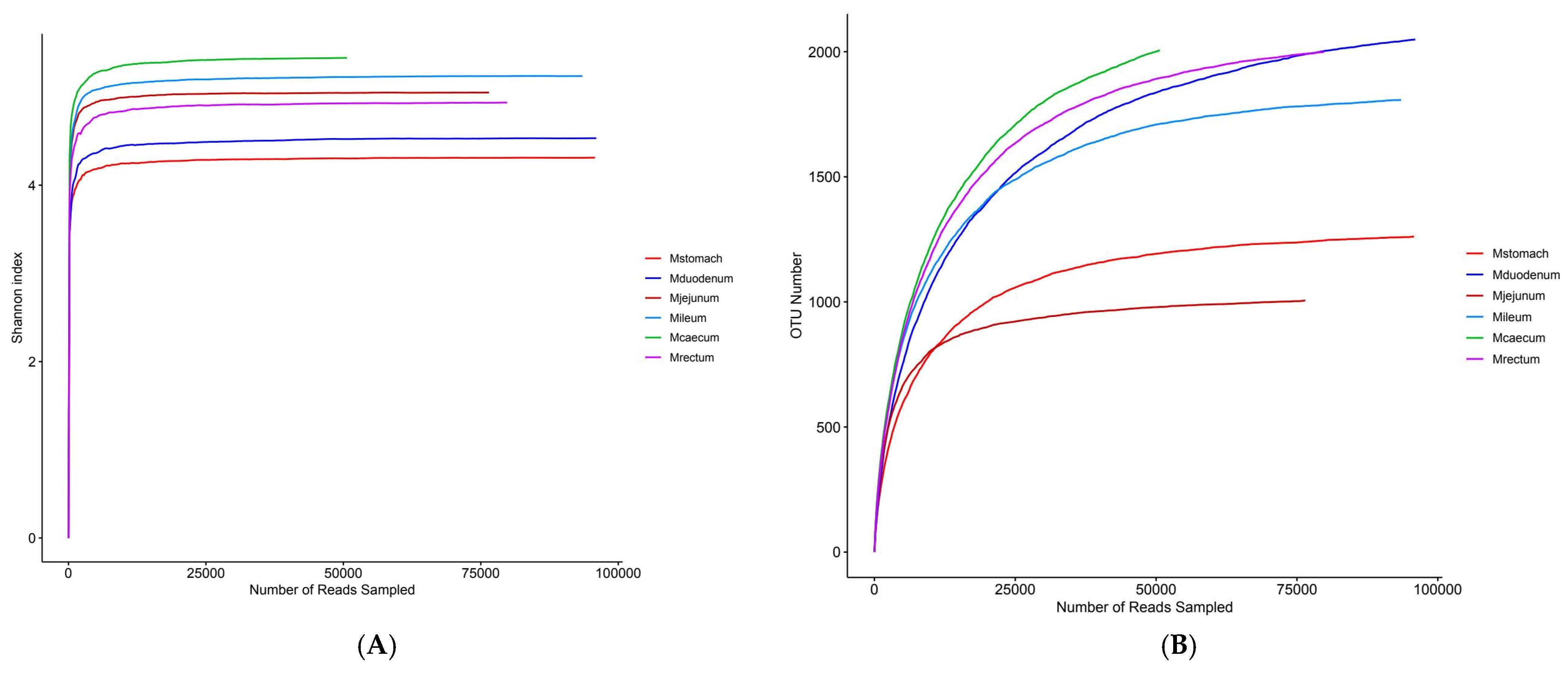 Animals 15 03651 g005a Animals 15 03651 g005a