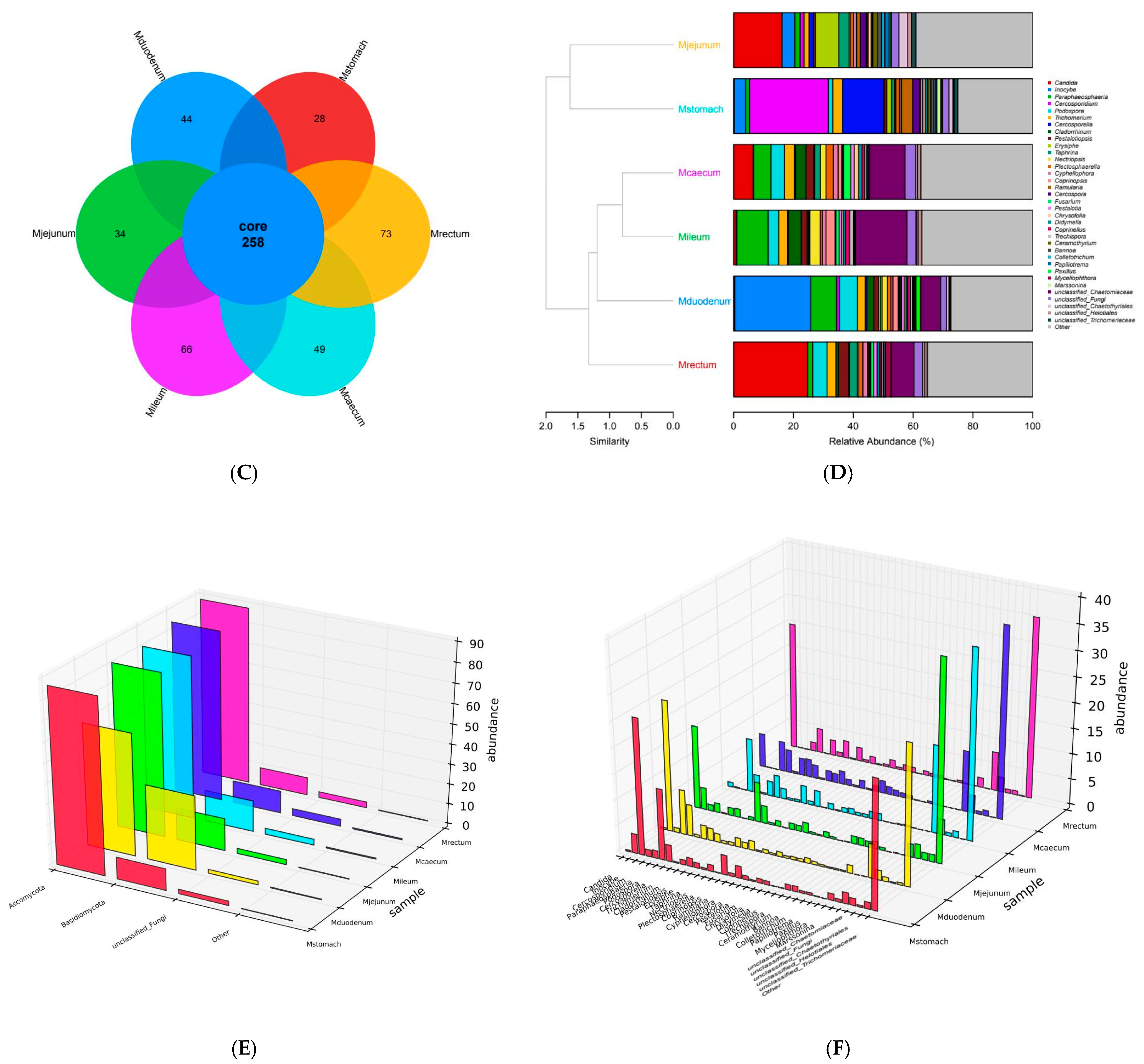 Animals 15 03651 g005b Animals 15 03651 g005b