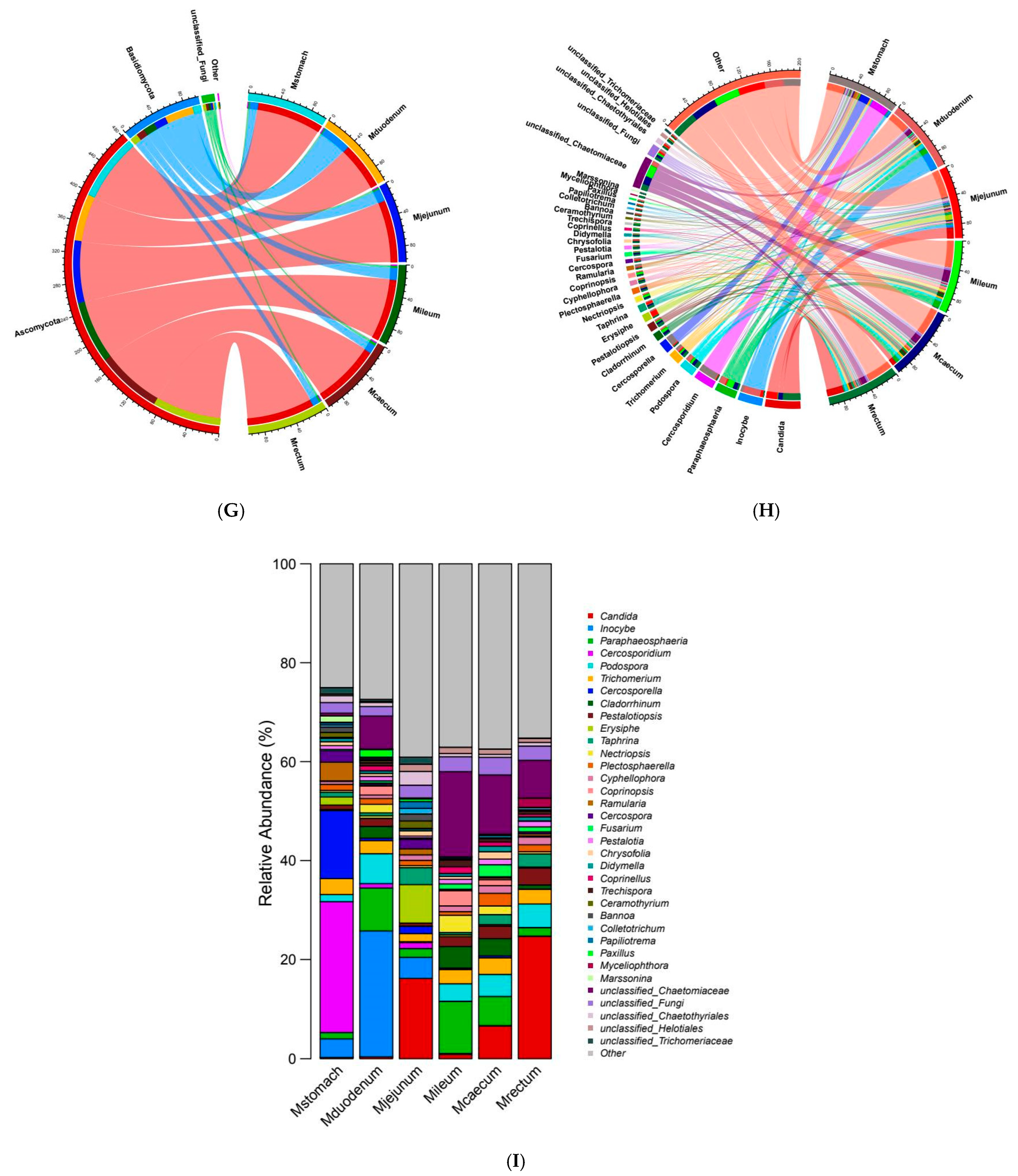 Animals 15 03651 g005c Animals 15 03651 g005c