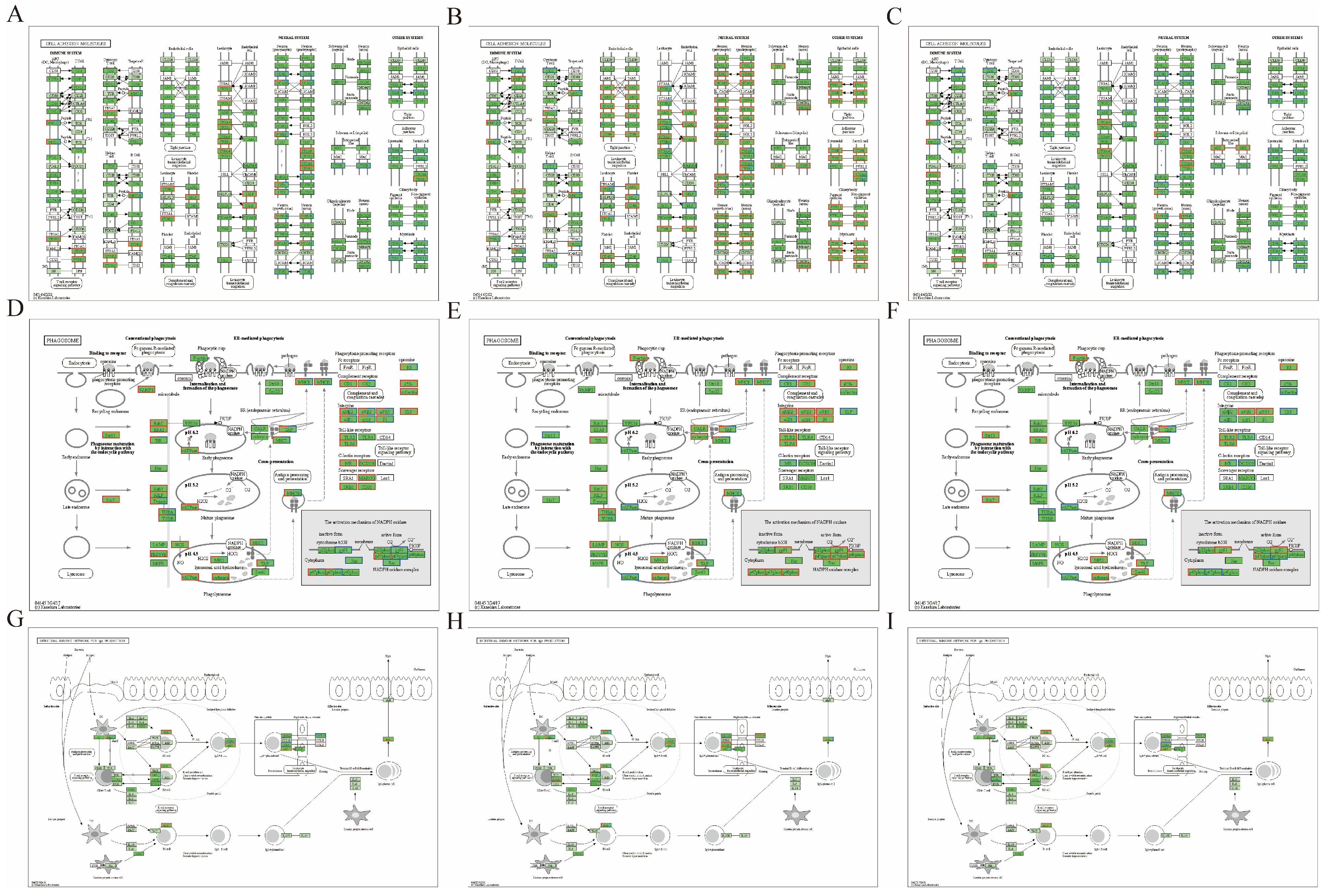 Animals 16 00025 g008