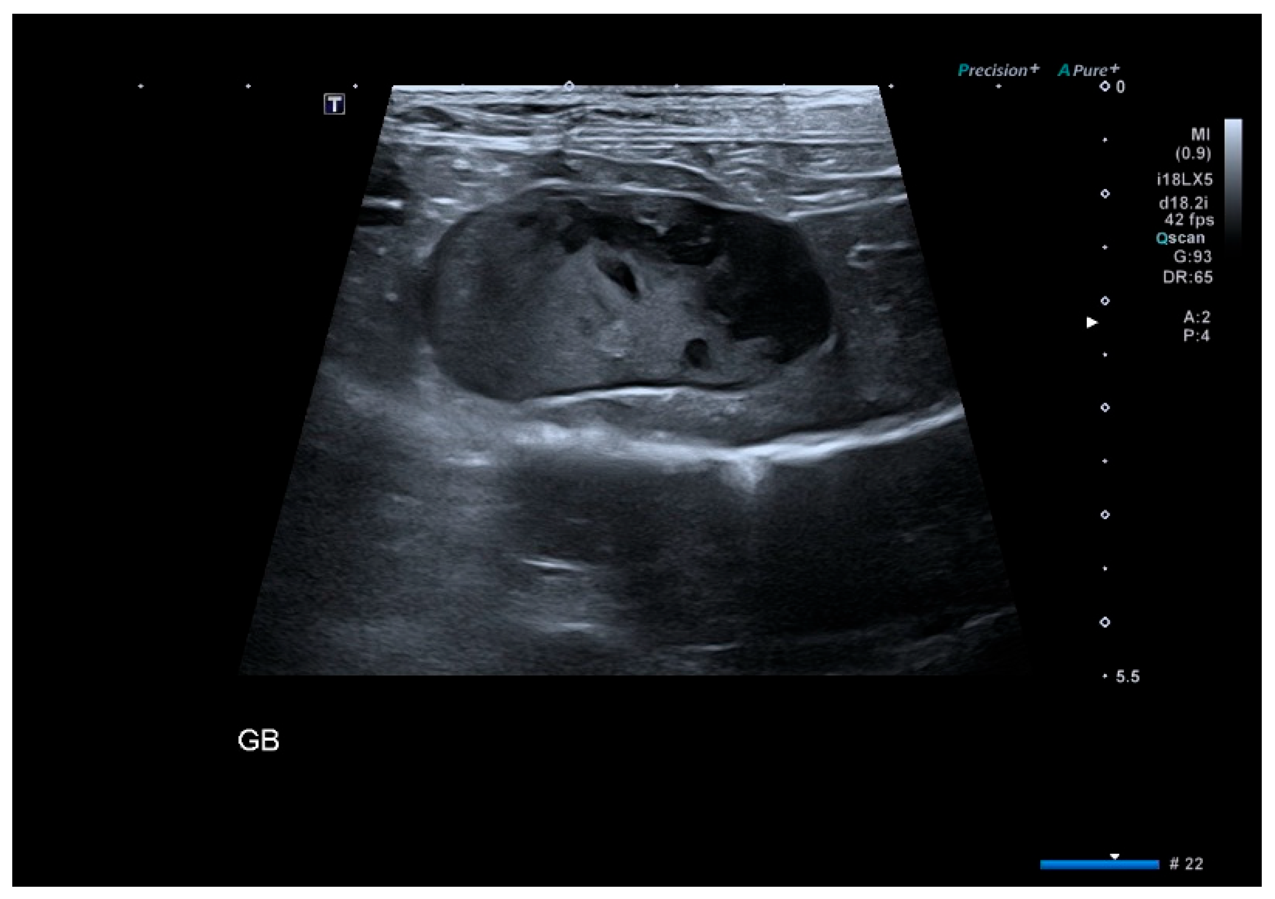 Animals 16 00031 g001