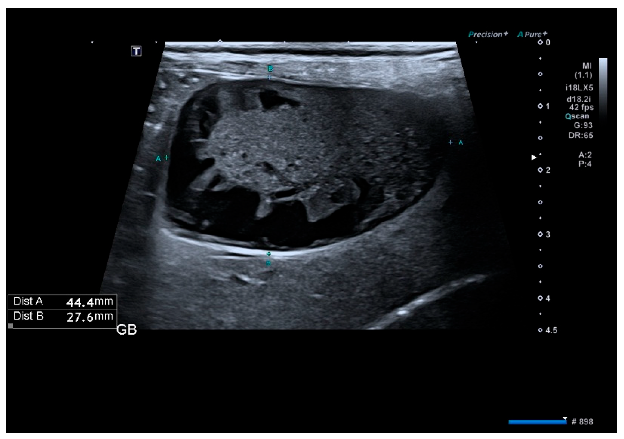 Animals 16 00031 g003