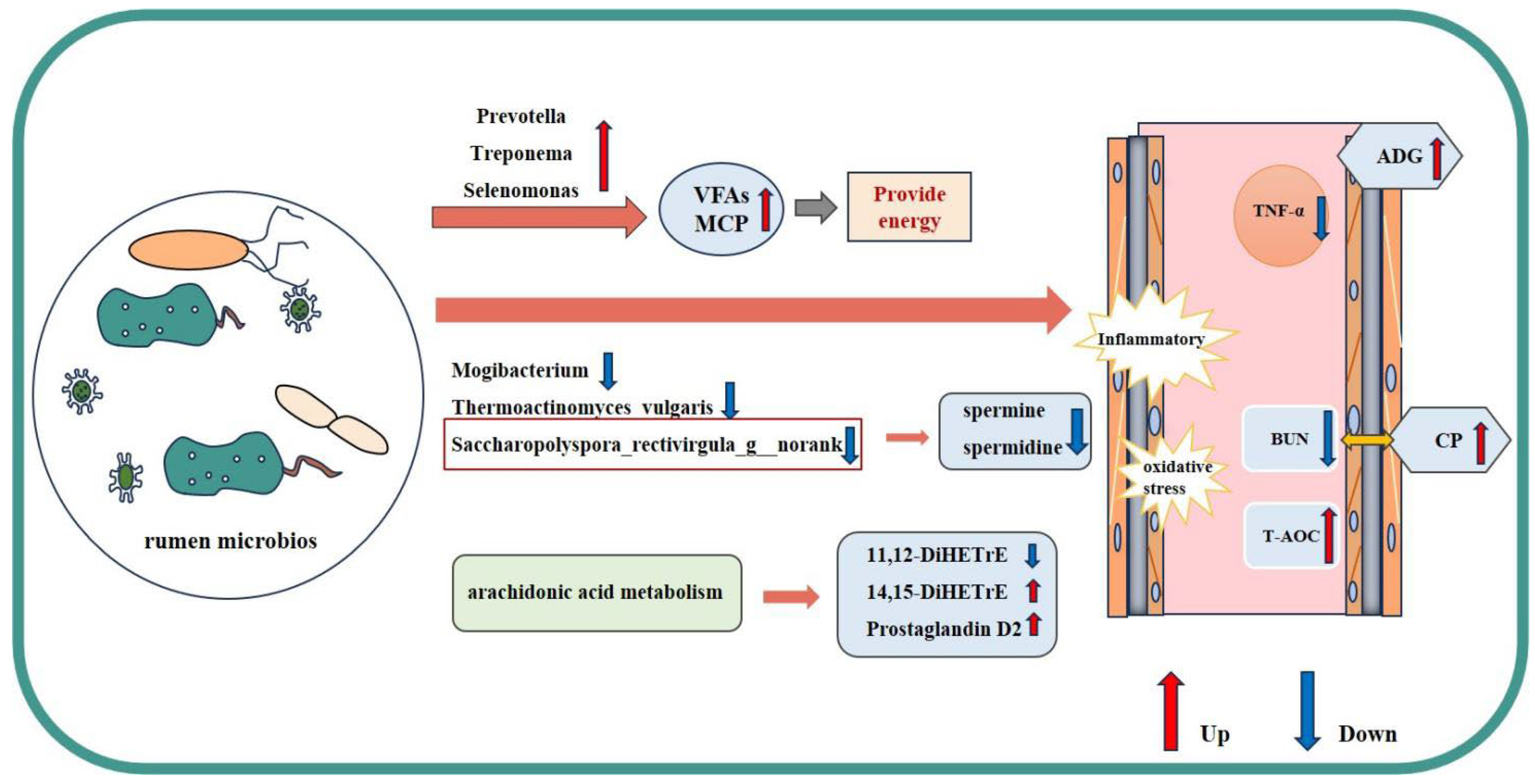 Animals 16 00043 g007