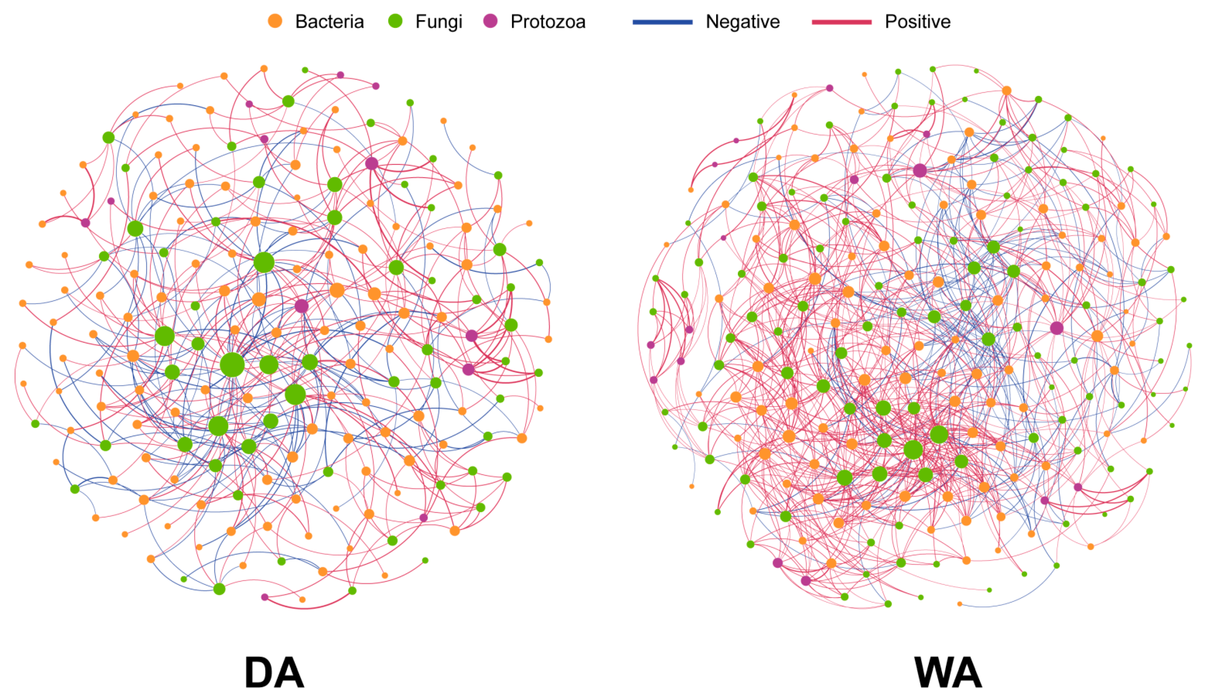Animals 16 00044 g004