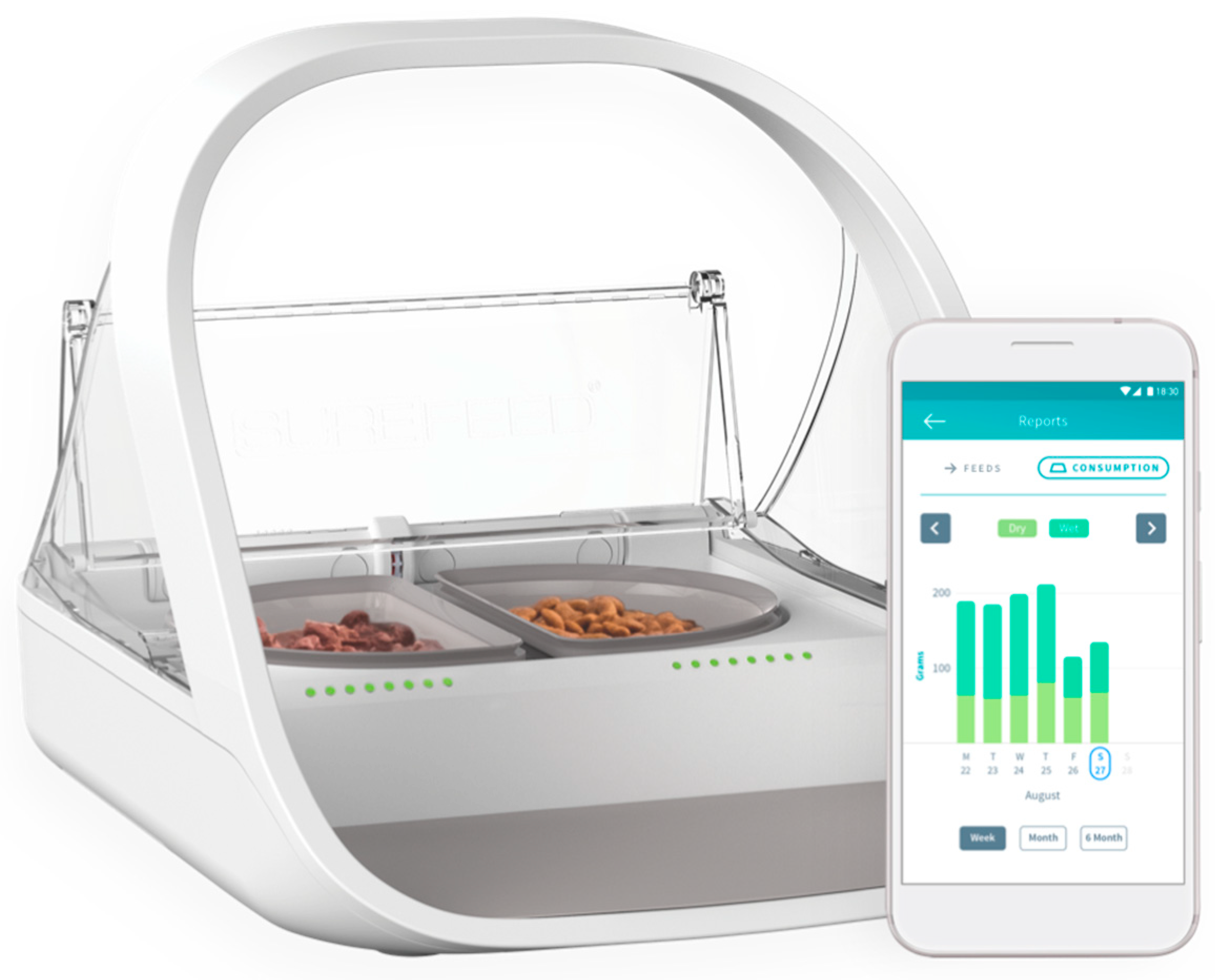 Animals 16 00045 g001