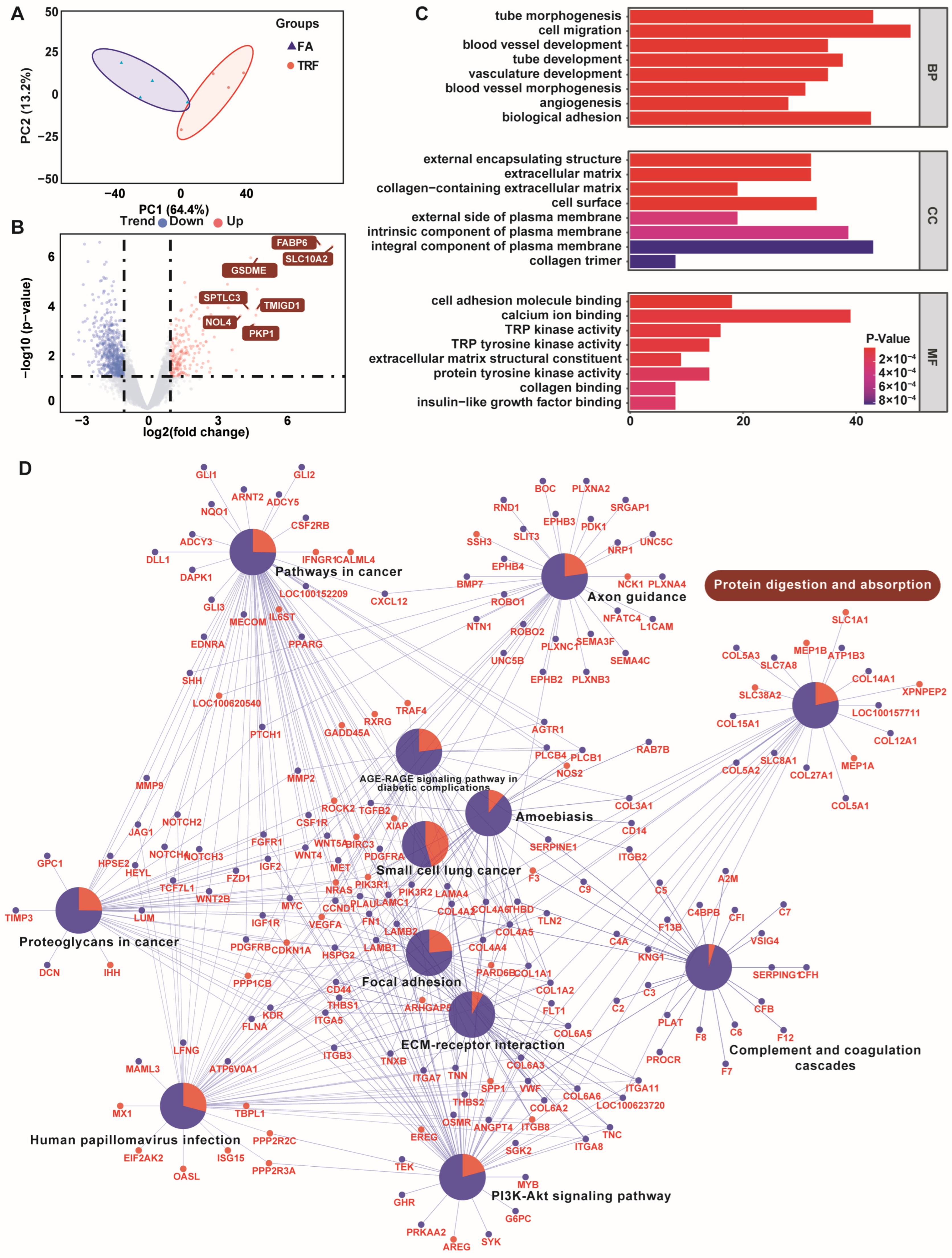 Animals 16 00052 g005