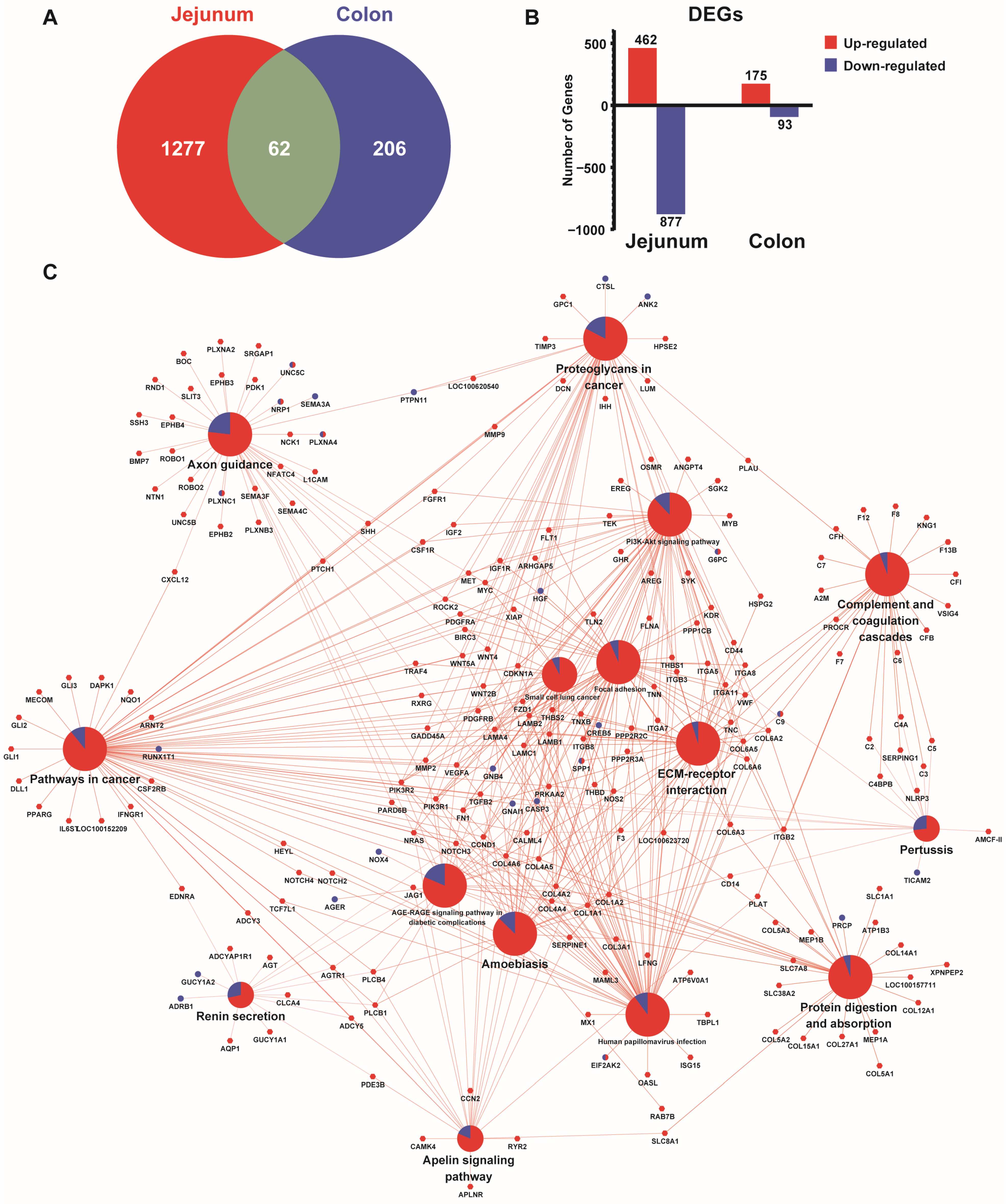 Animals 16 00052 g007