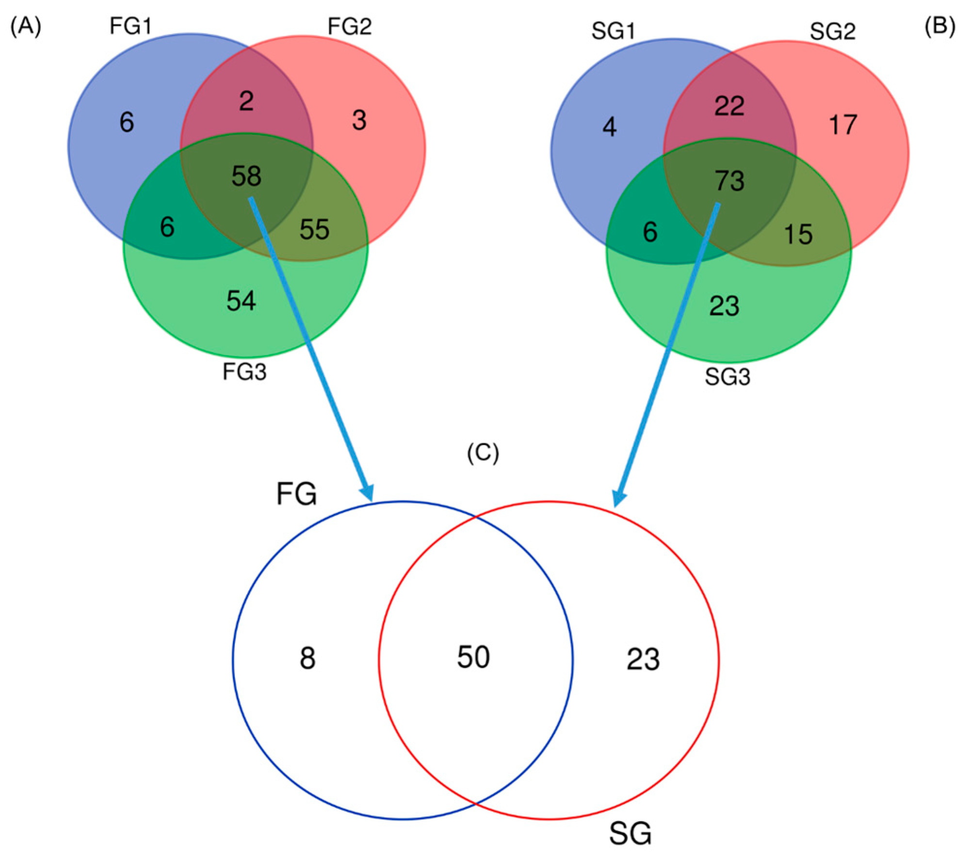 Animals 16 00054 g003