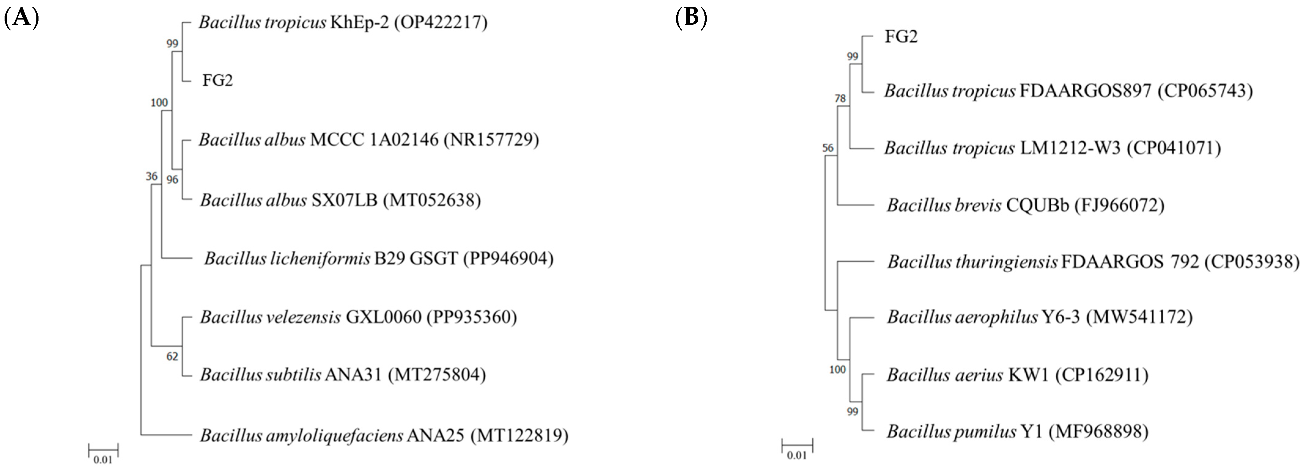 Animals 16 00054 g007