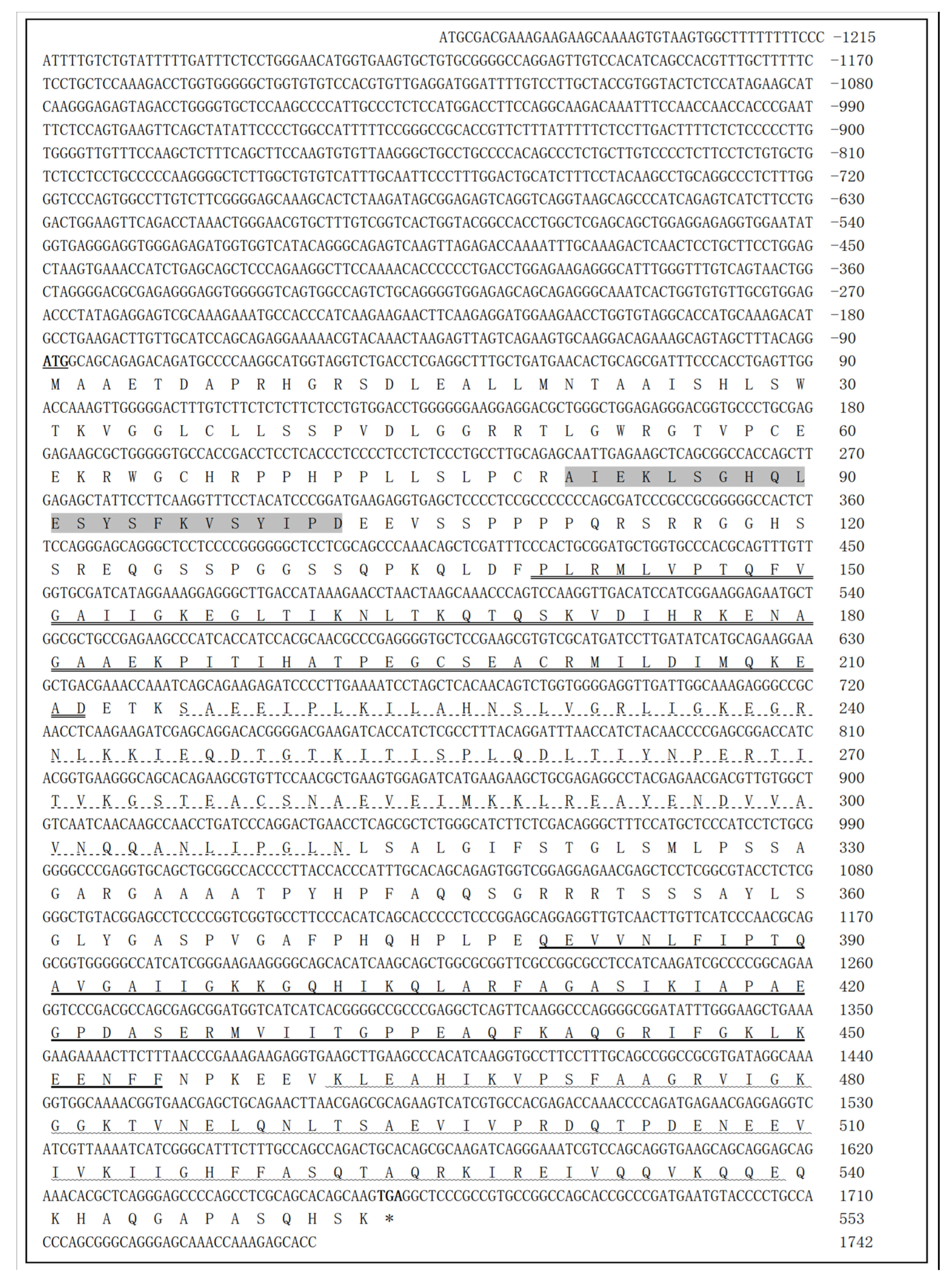 Animals 16 00058 g001