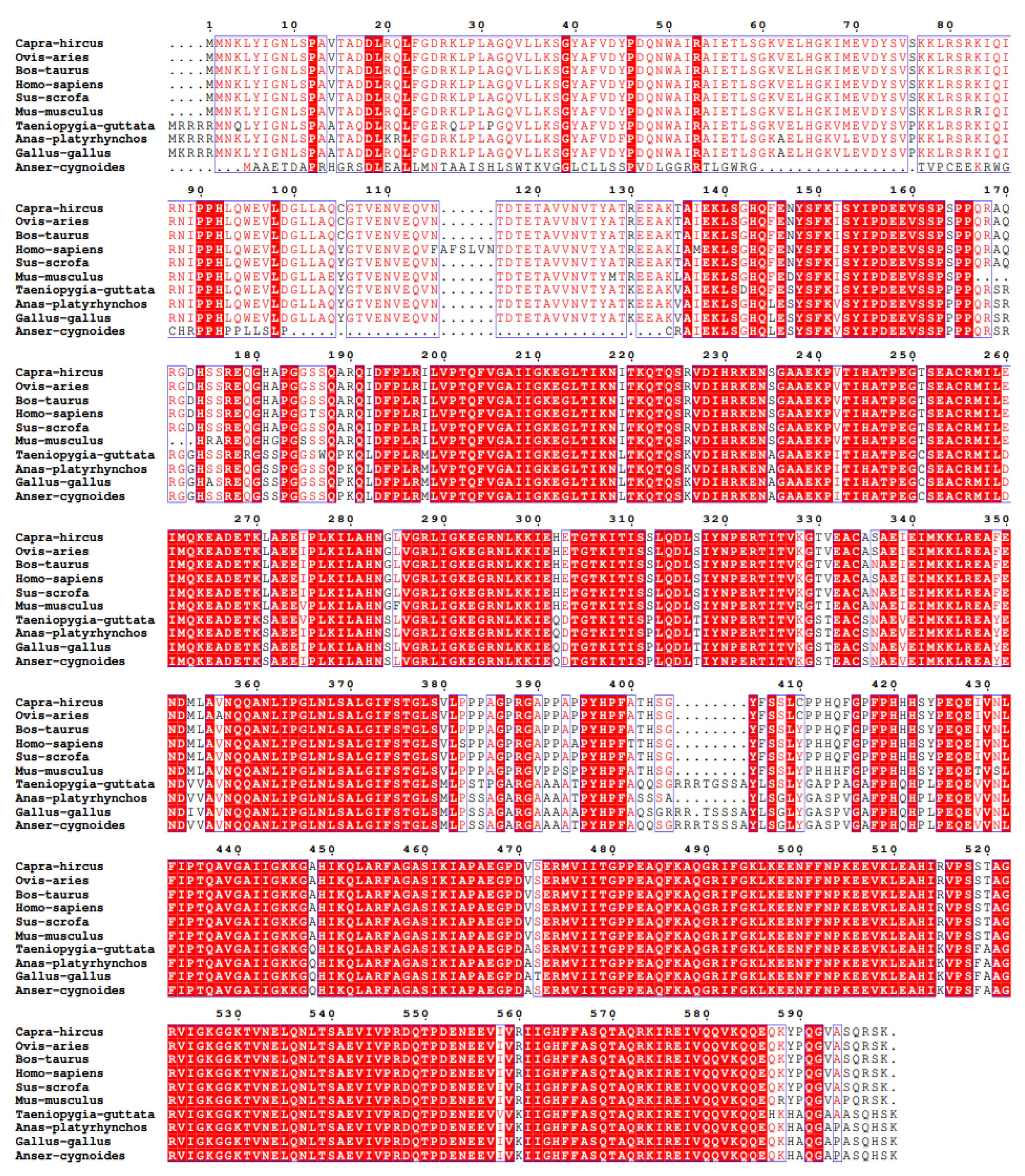 Animals 16 00058 g002