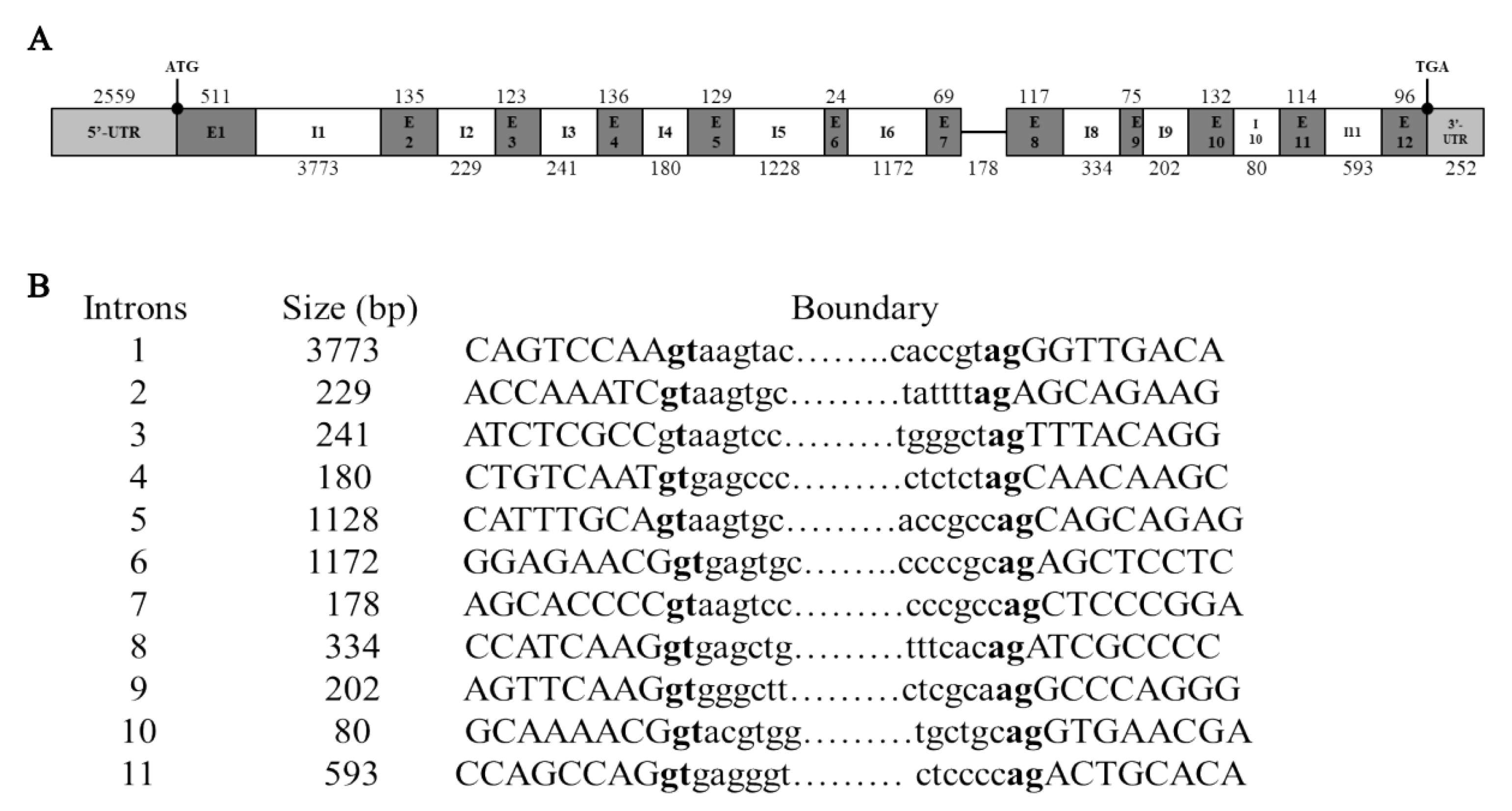 Animals 16 00058 g003