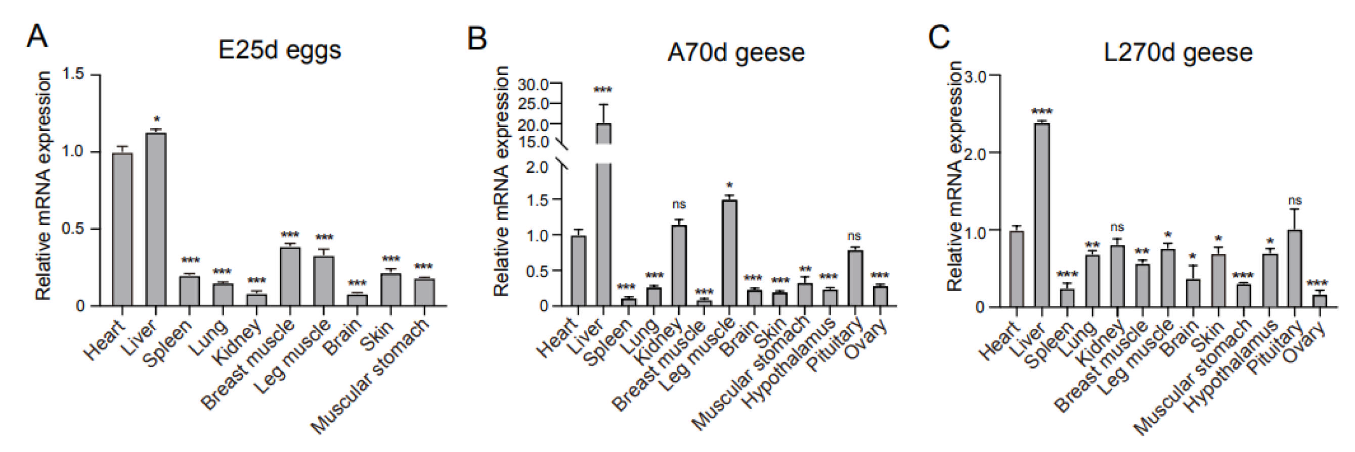 Animals 16 00058 g004