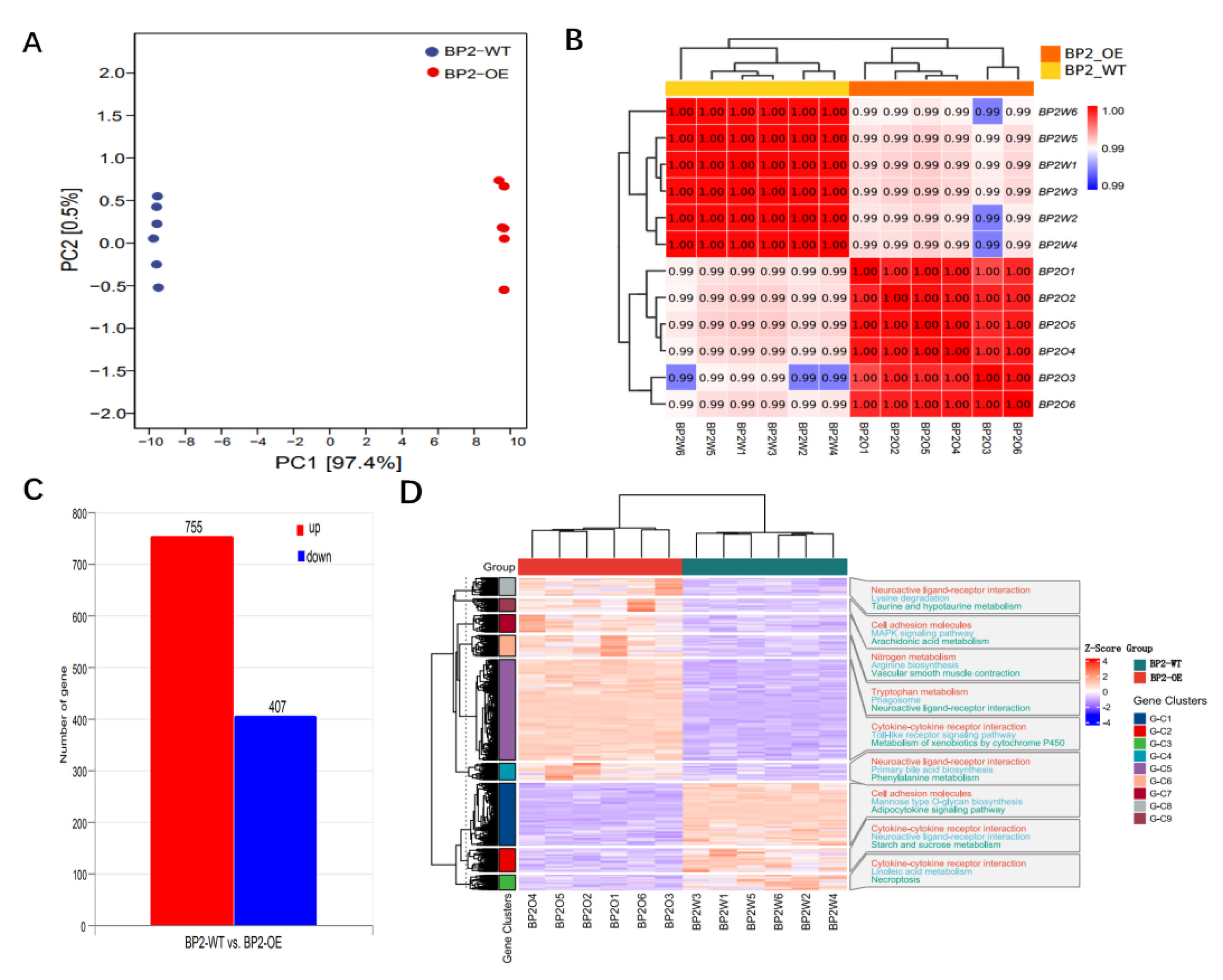 Animals 16 00058 g006