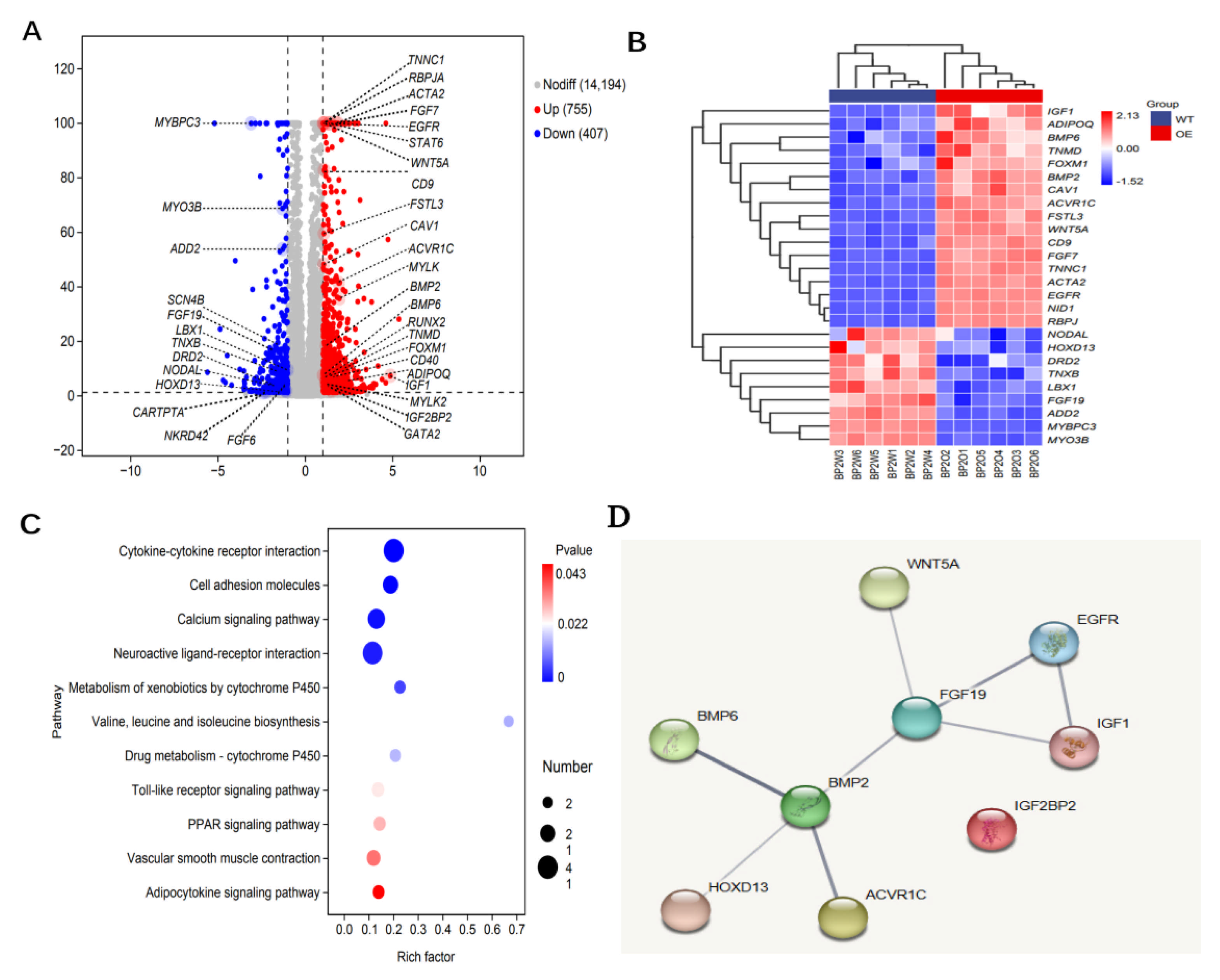 Animals 16 00058 g007