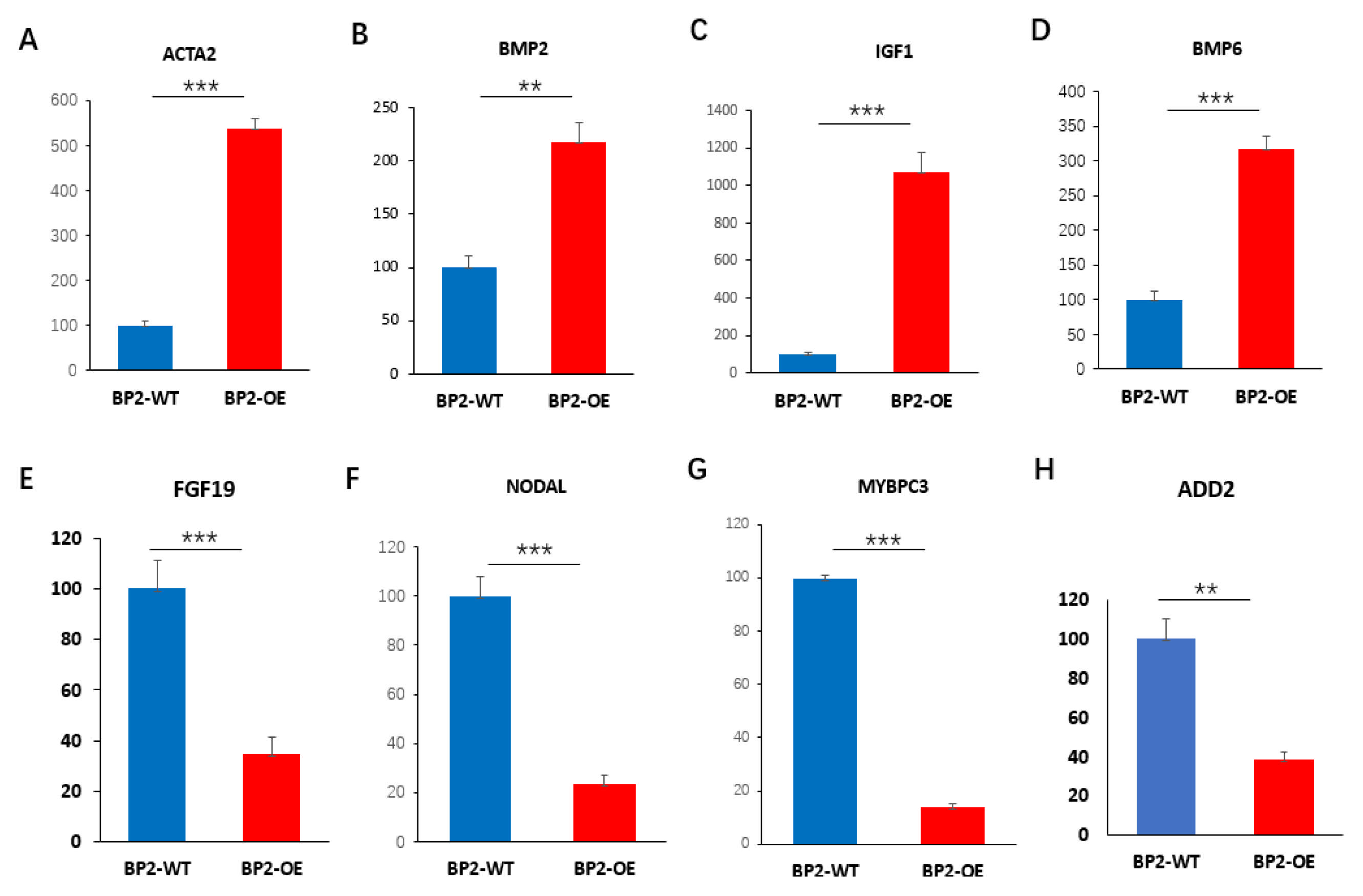 Animals 16 00058 g008