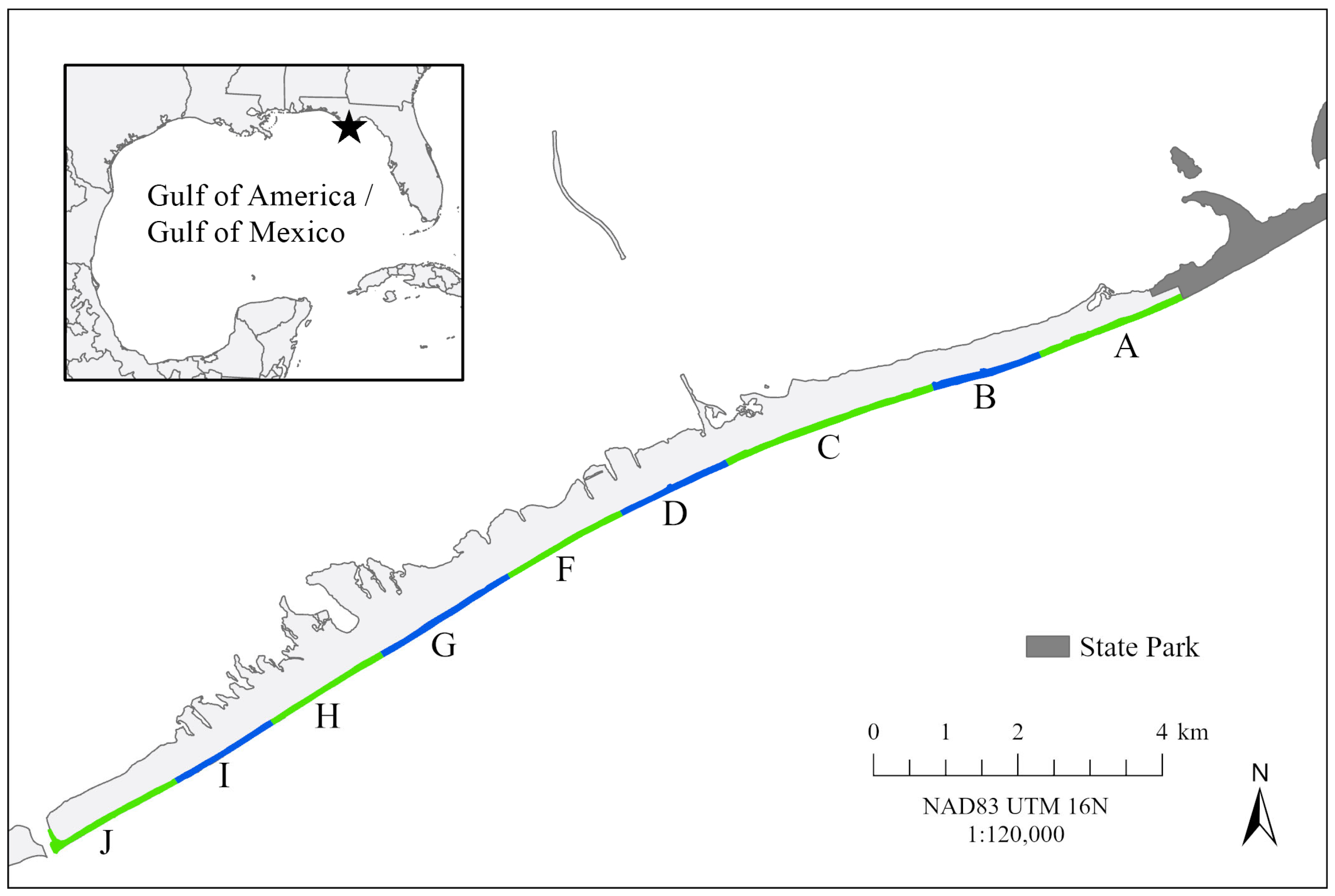 Animals 16 00071 g001