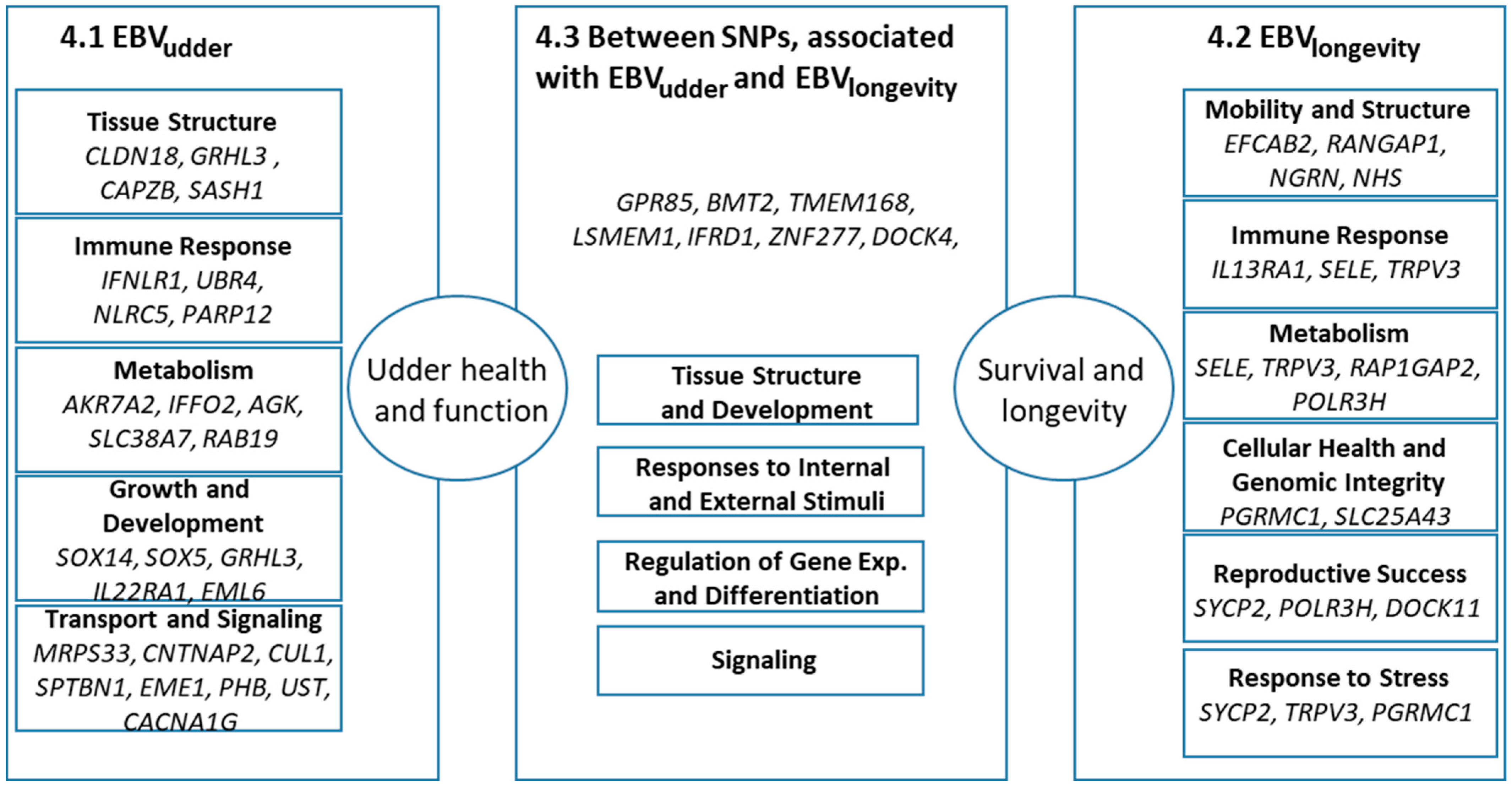 Animals 16 00073 g003