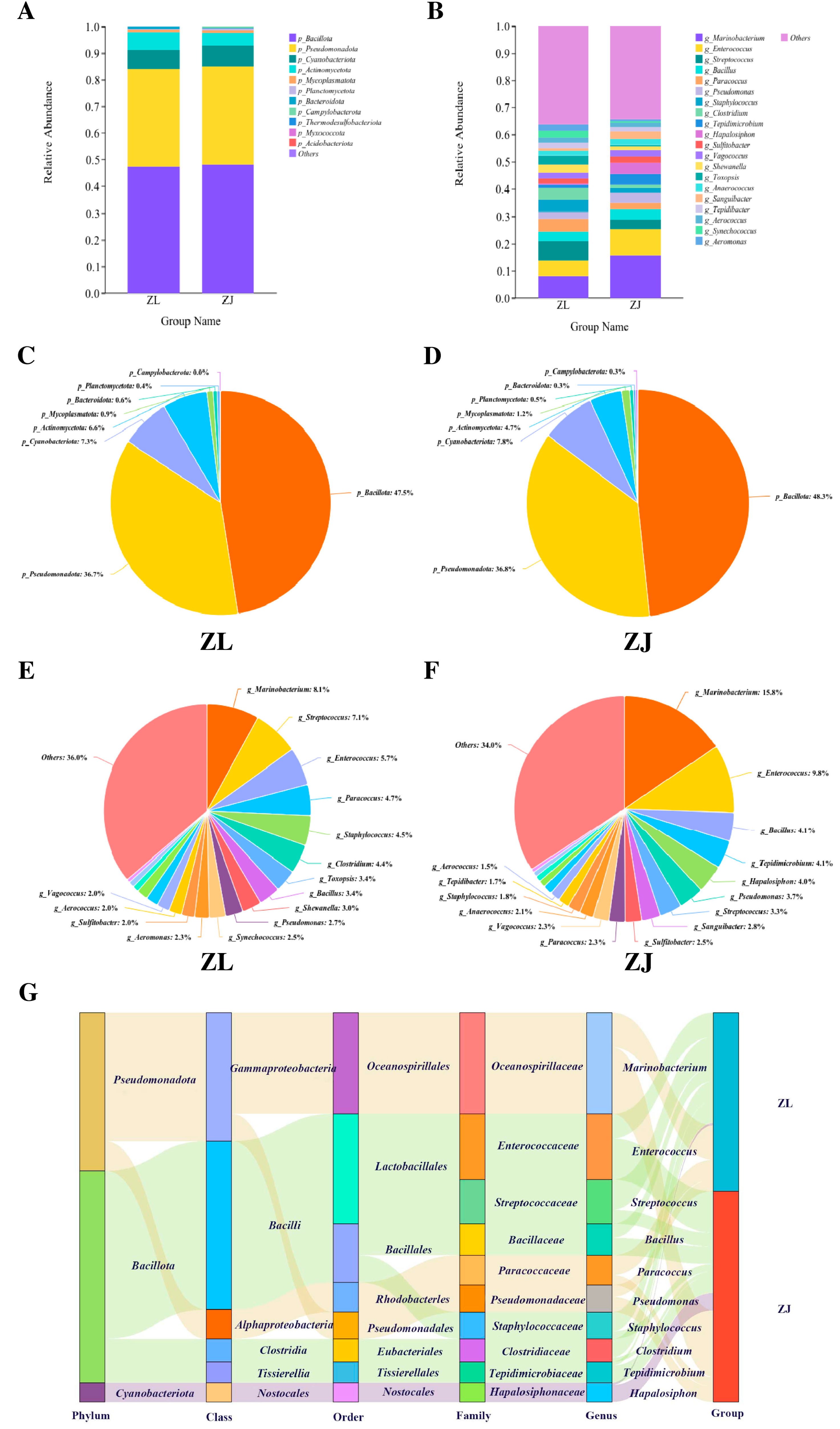 Animals 16 00074 g004