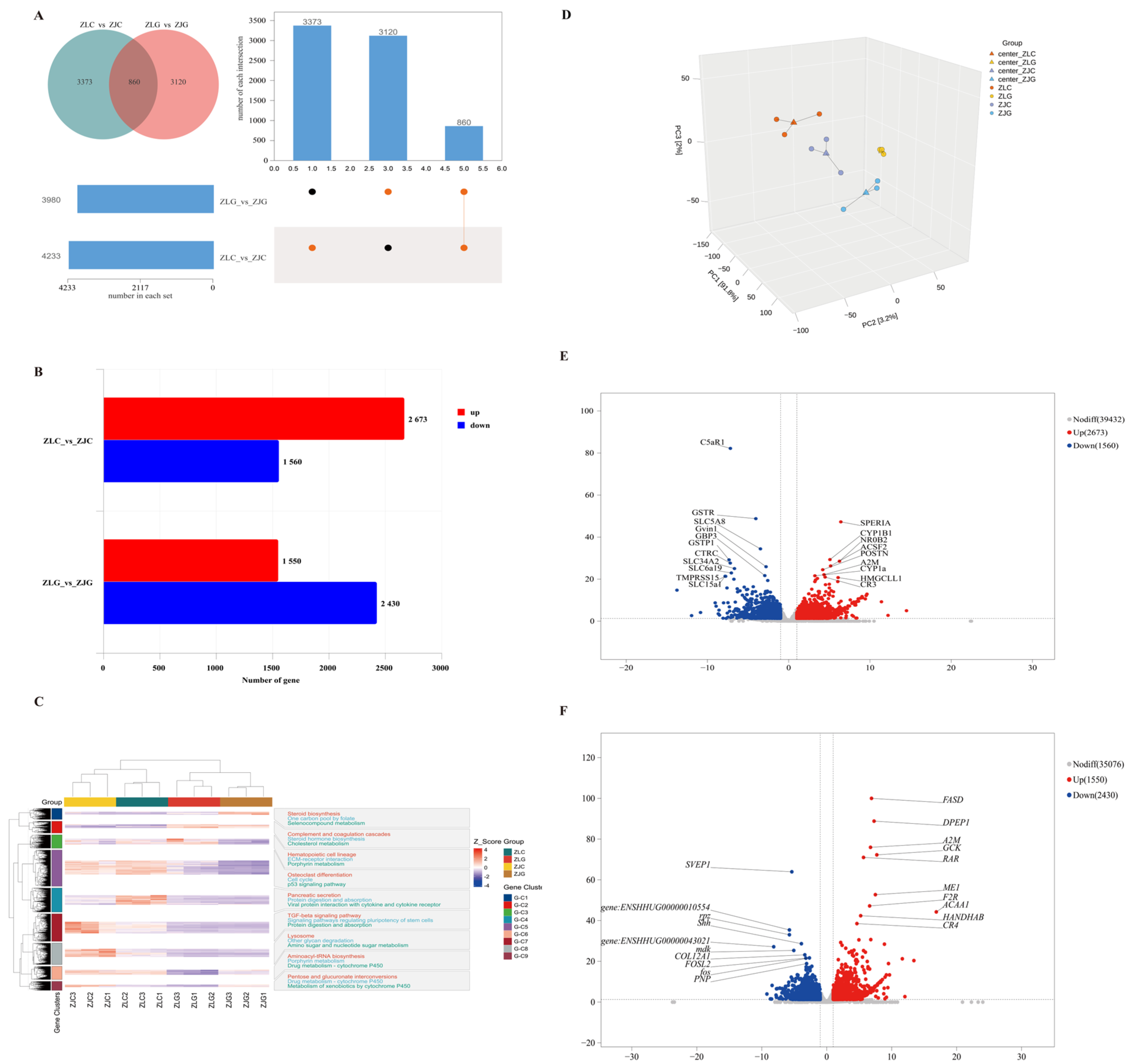 Animals 16 00074 g007