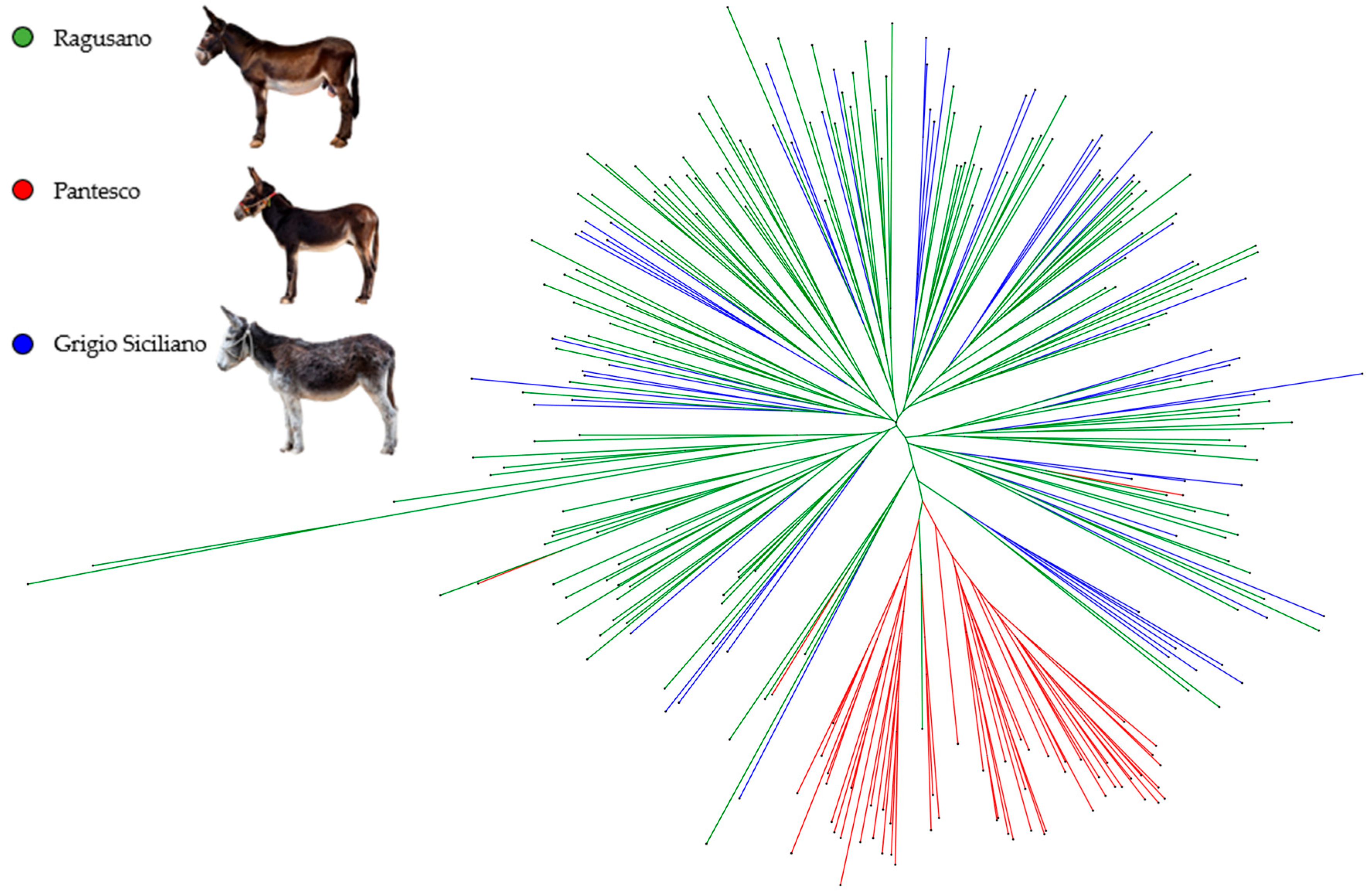 Animals 16 00090 g001