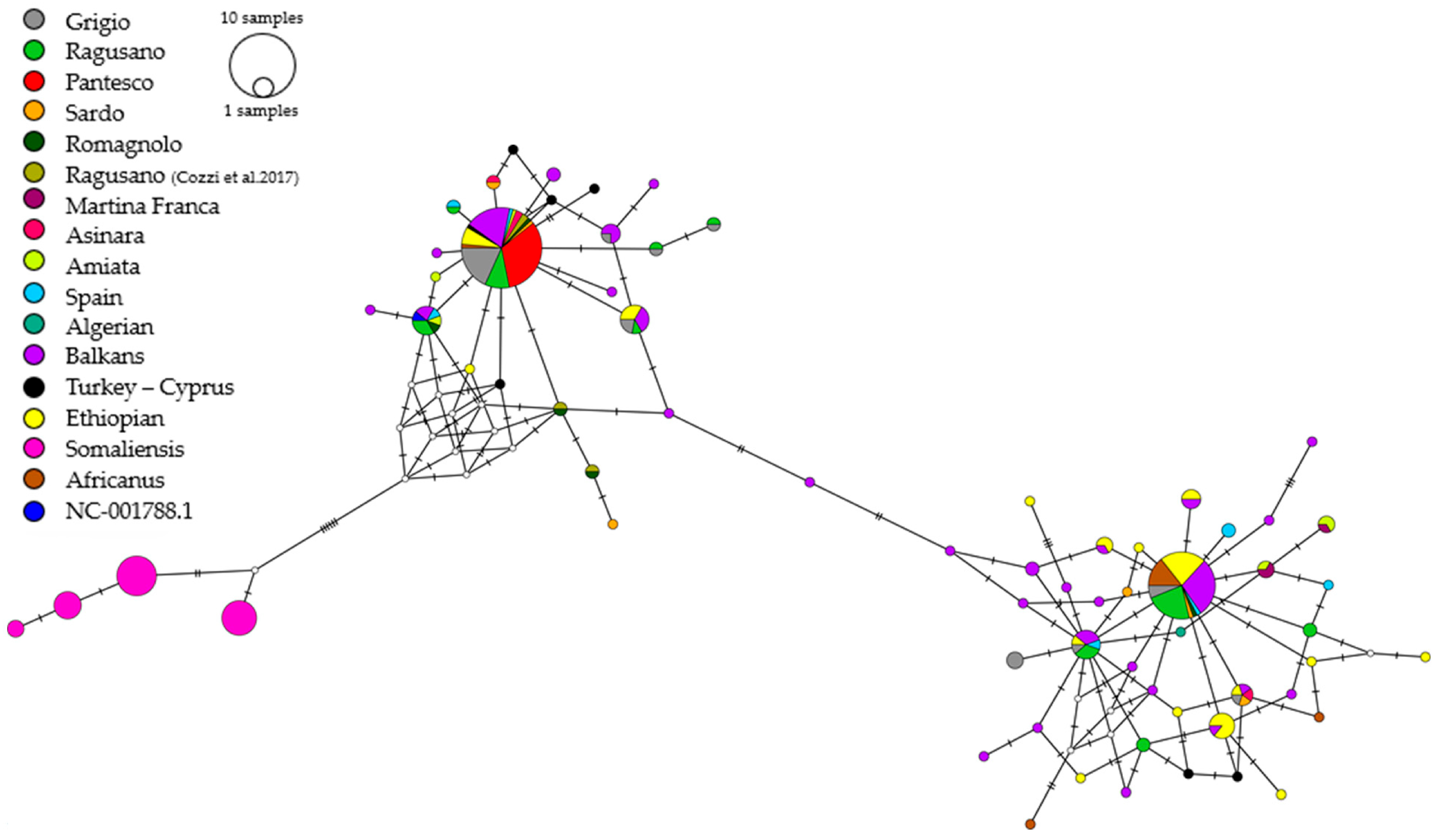 Animals 16 00090 g003