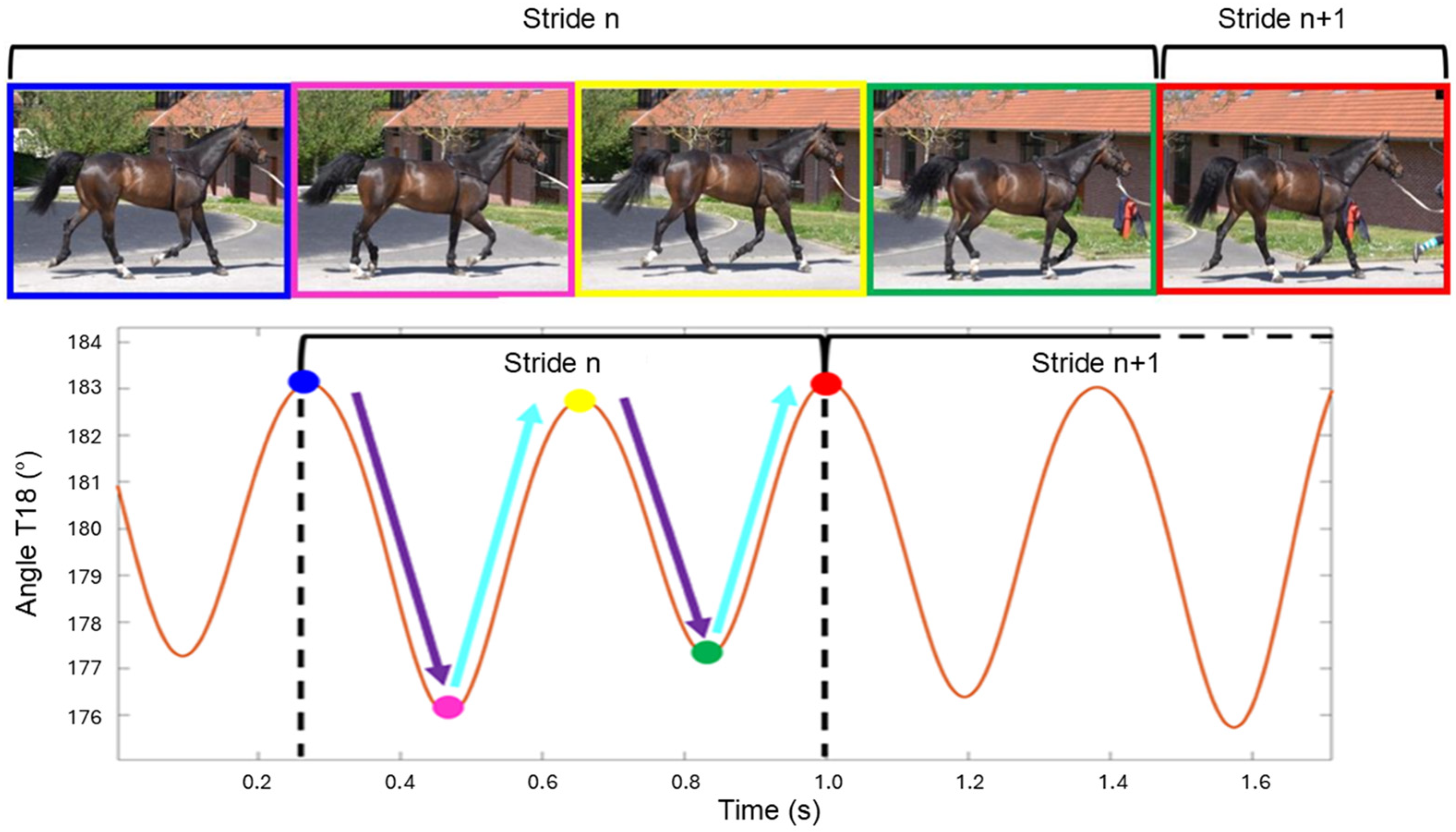 Animals 16 00103 g001