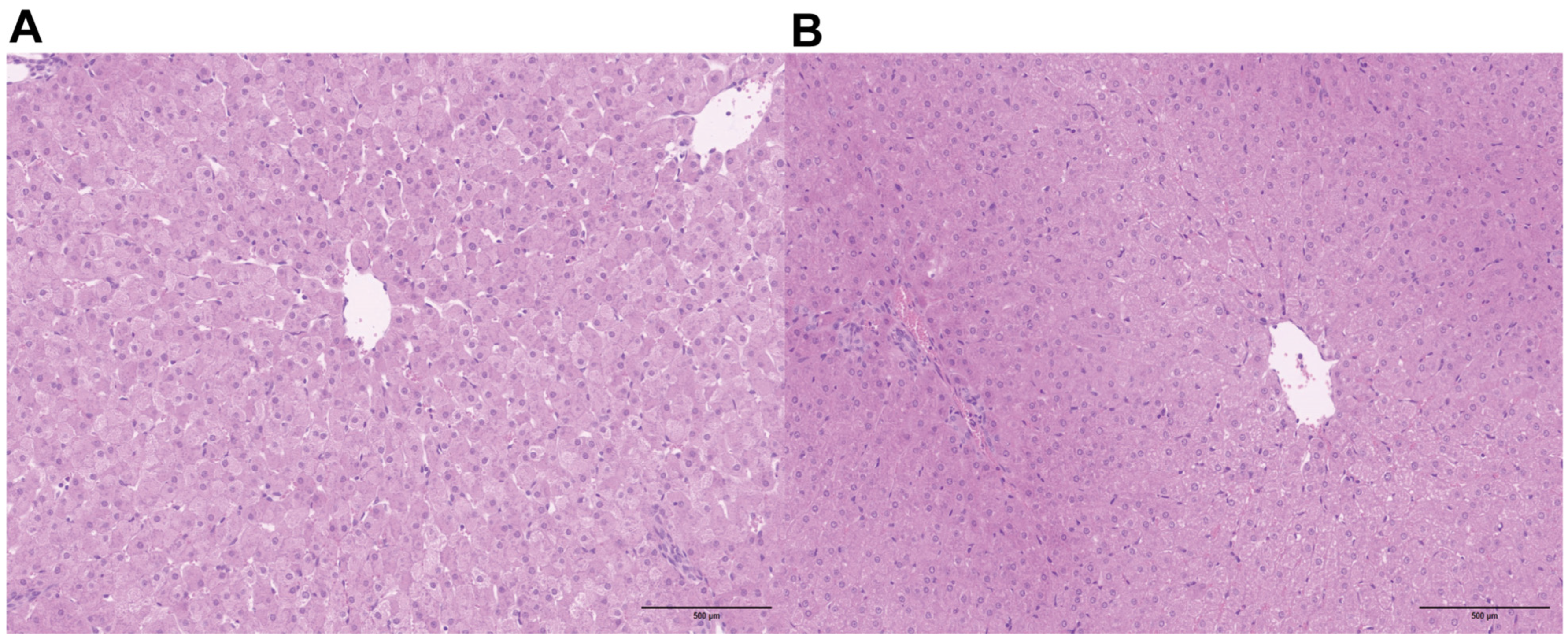 Animals 16 00104 g001