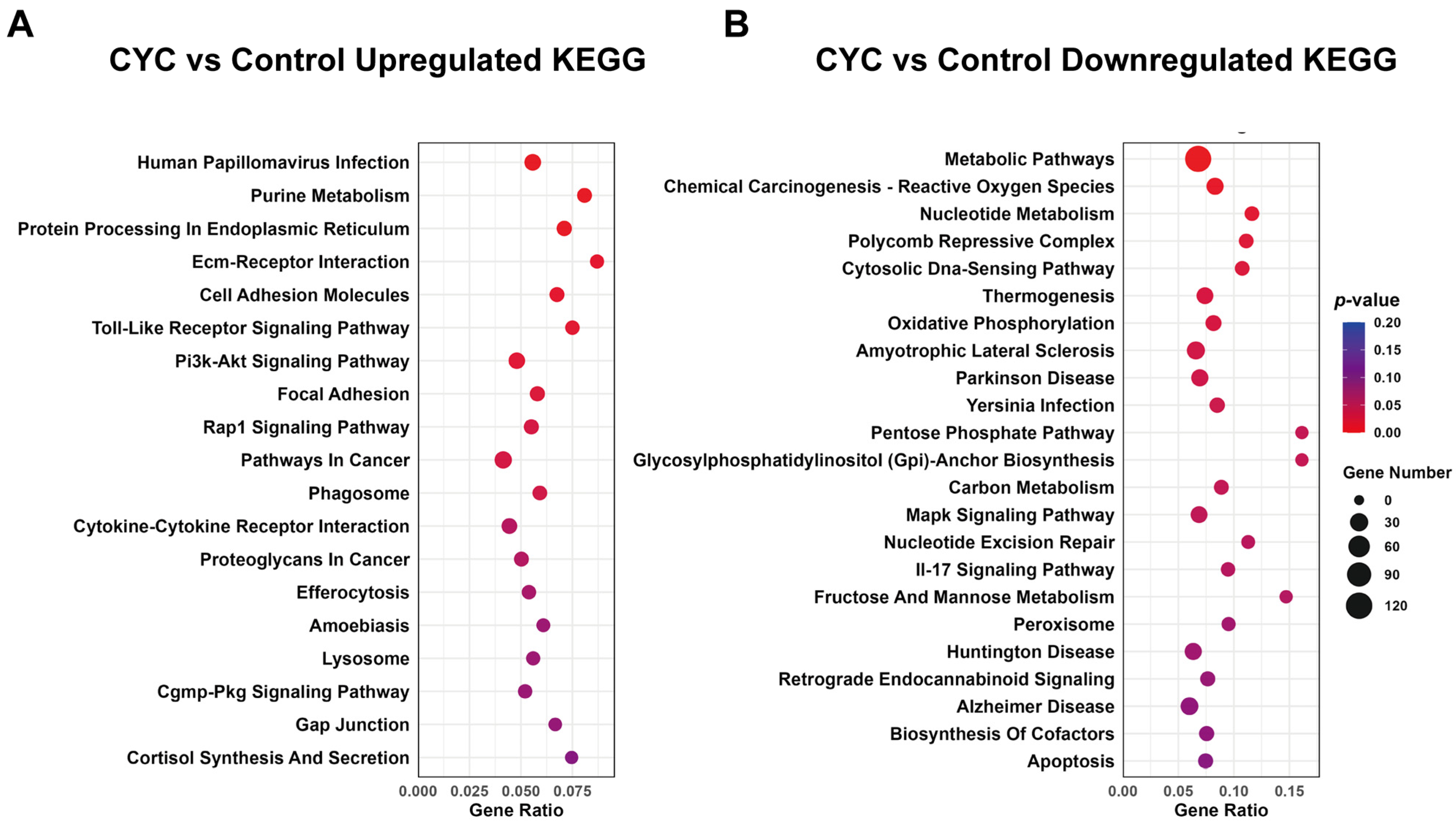 Animals 16 00104 g006