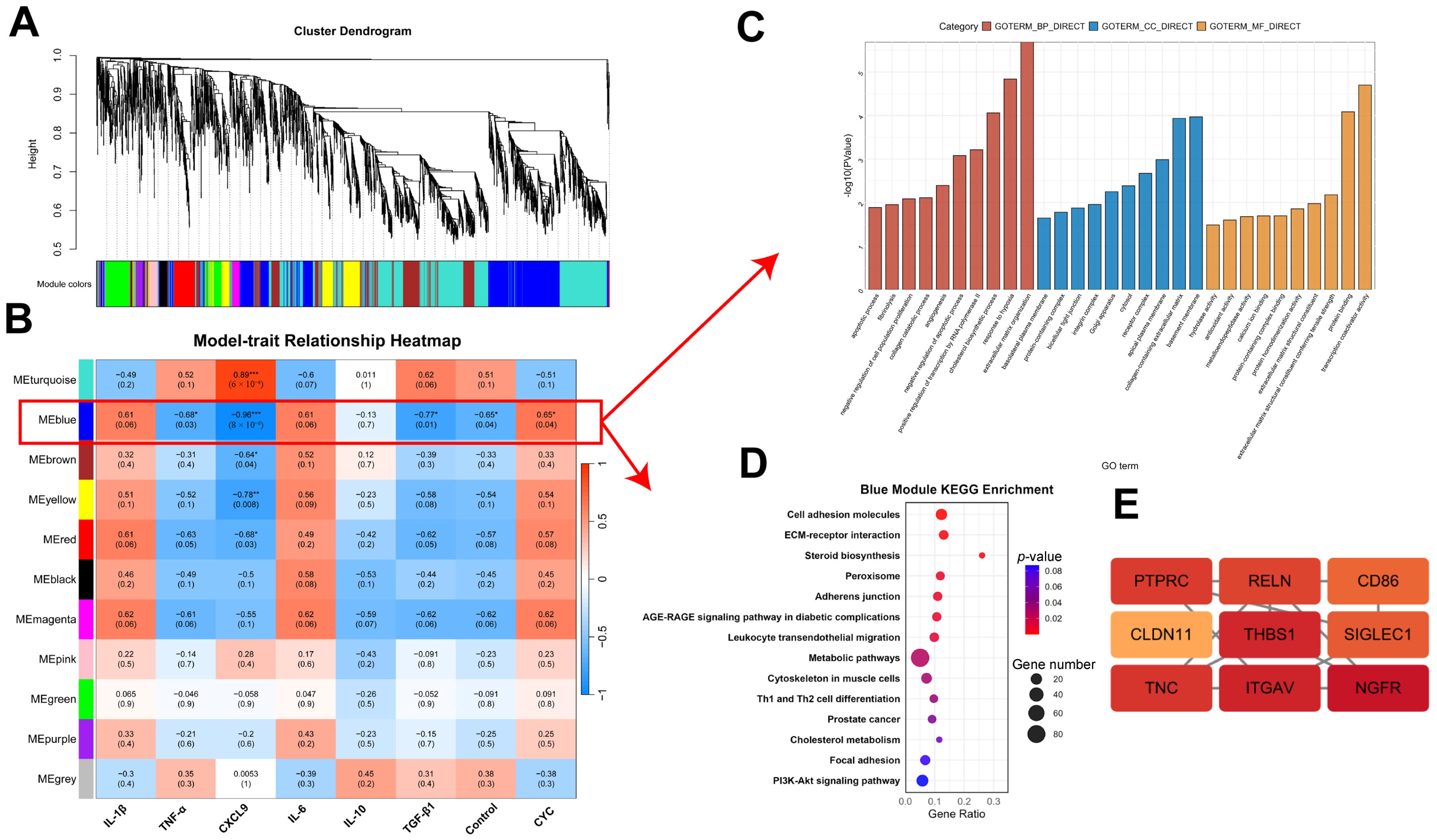 Animals 16 00104 g008