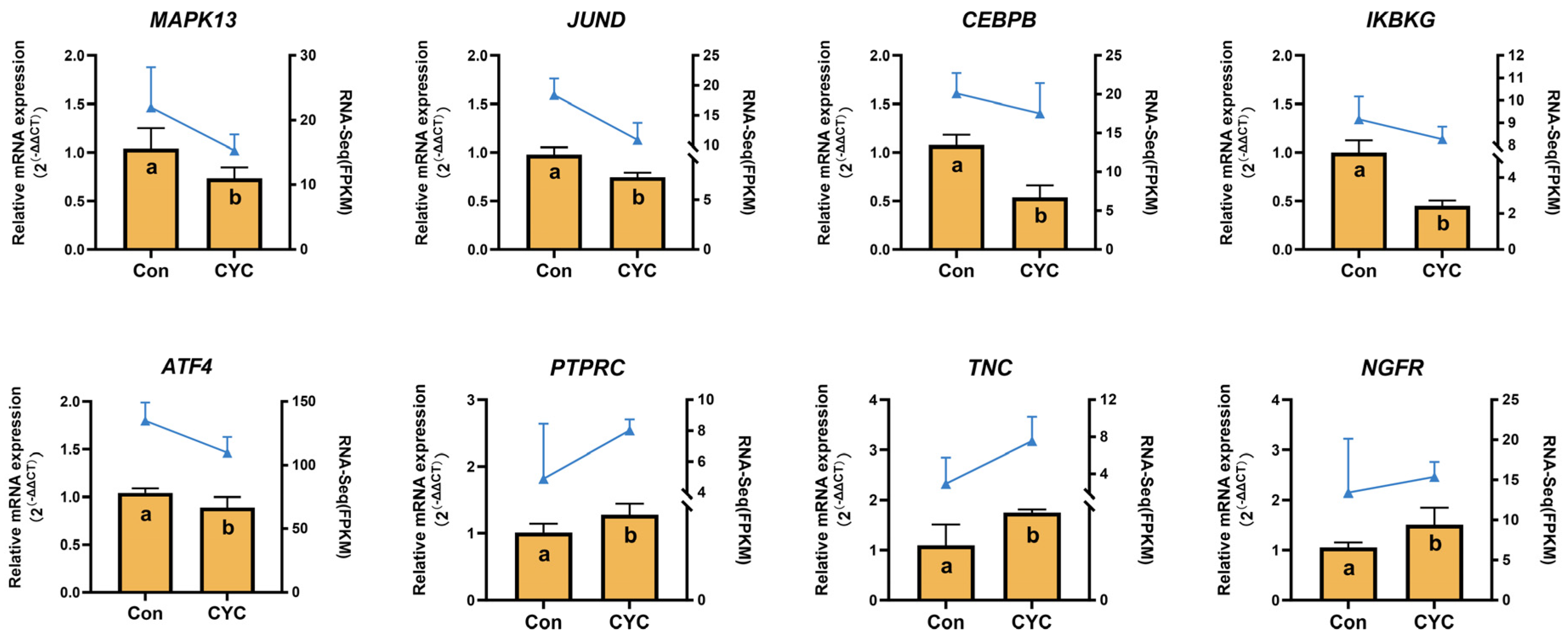 Animals 16 00104 g009