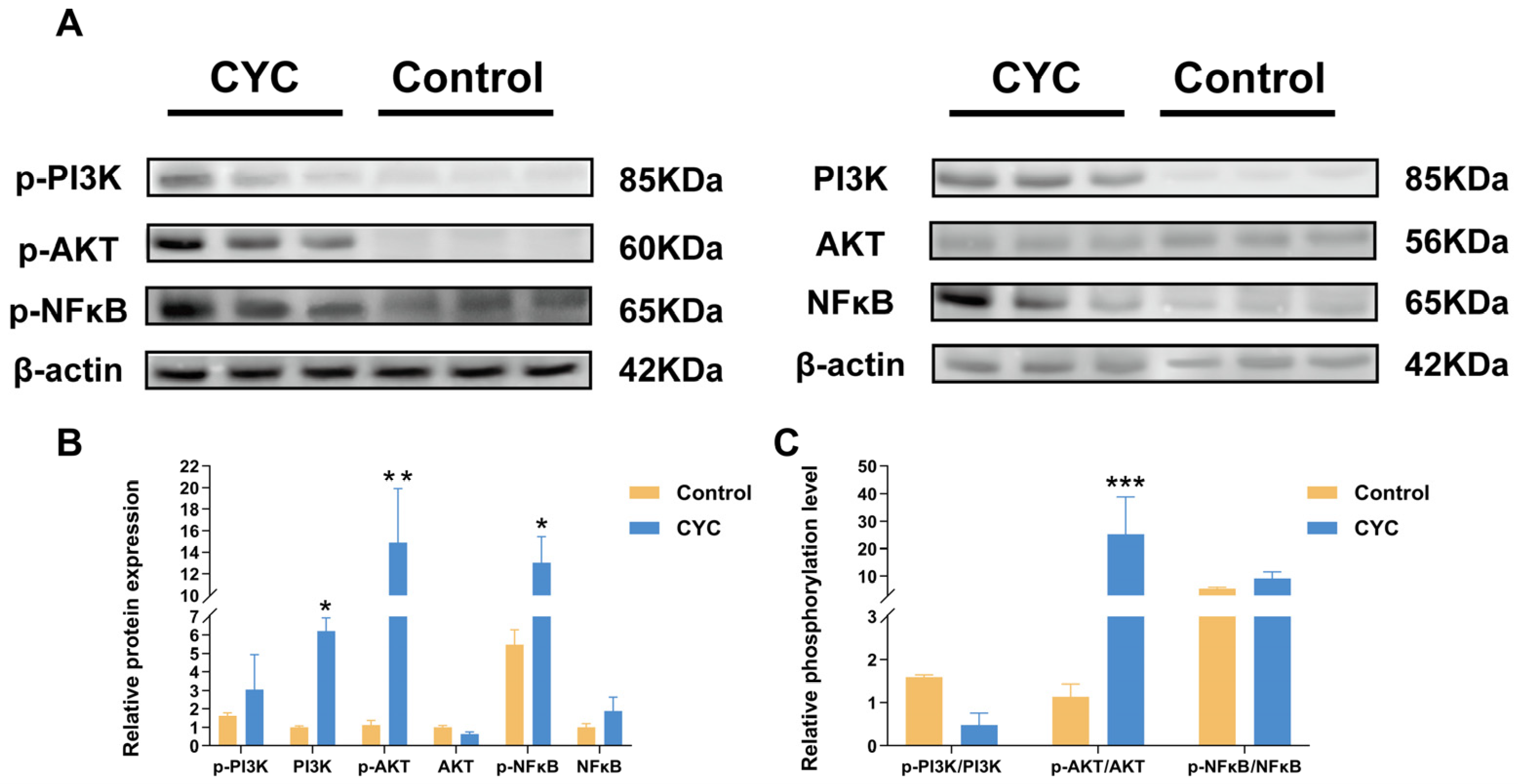 Animals 16 00104 g010