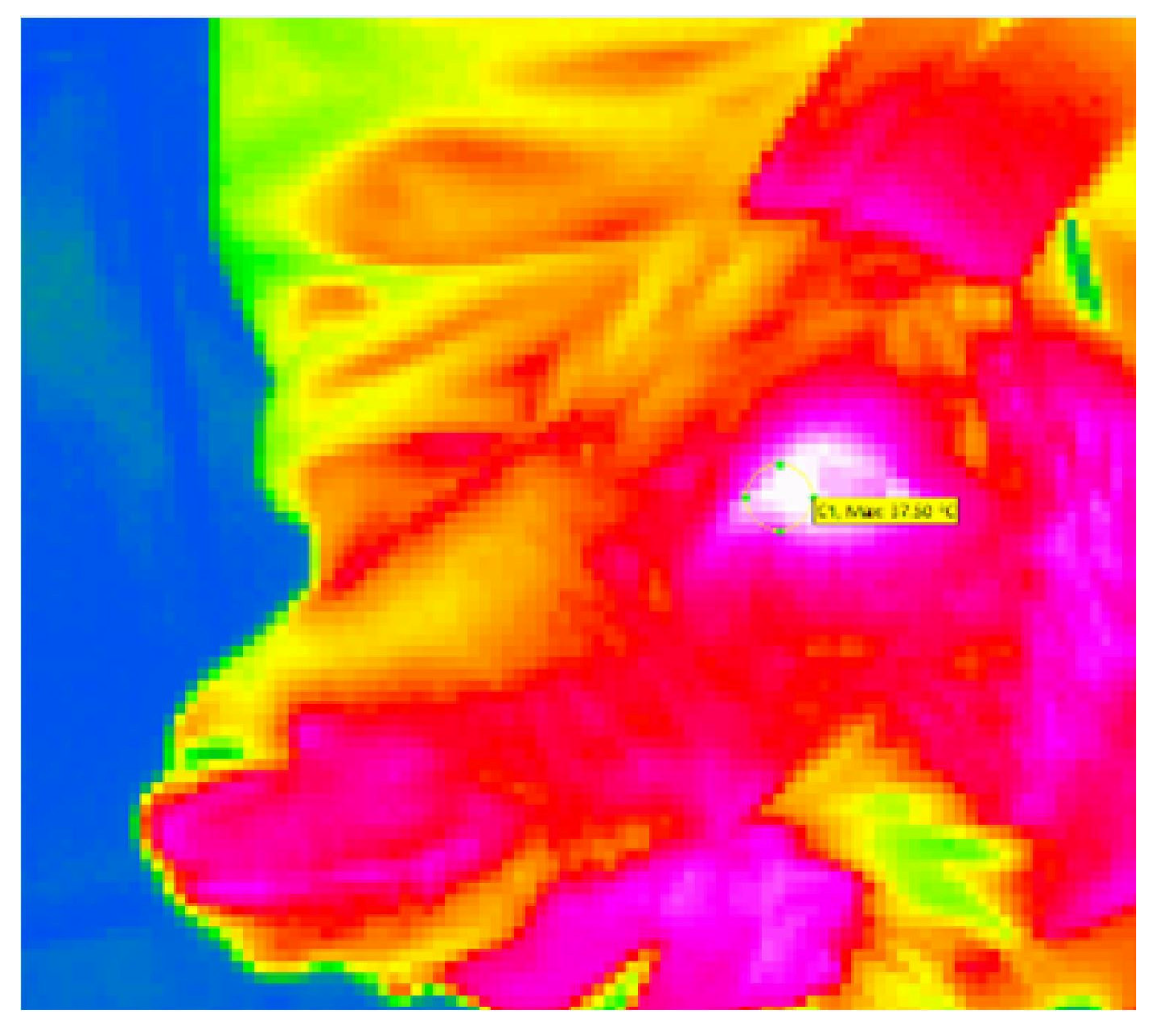 Animals 16 00105 g002 Animals 16 00105 g002